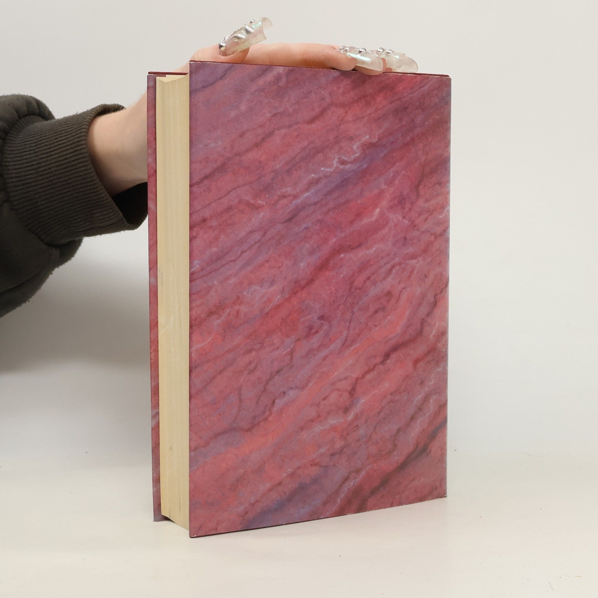 Luca Landucci Ein florentinisches Tagebuch
