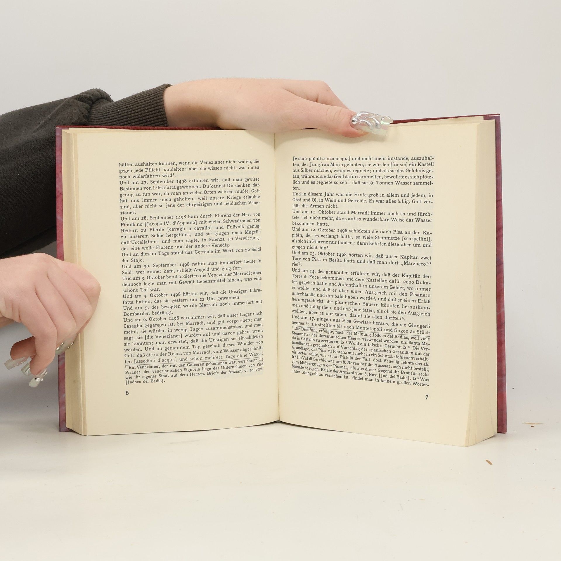 Luca Landucci Ein florentinisches Tagebuch