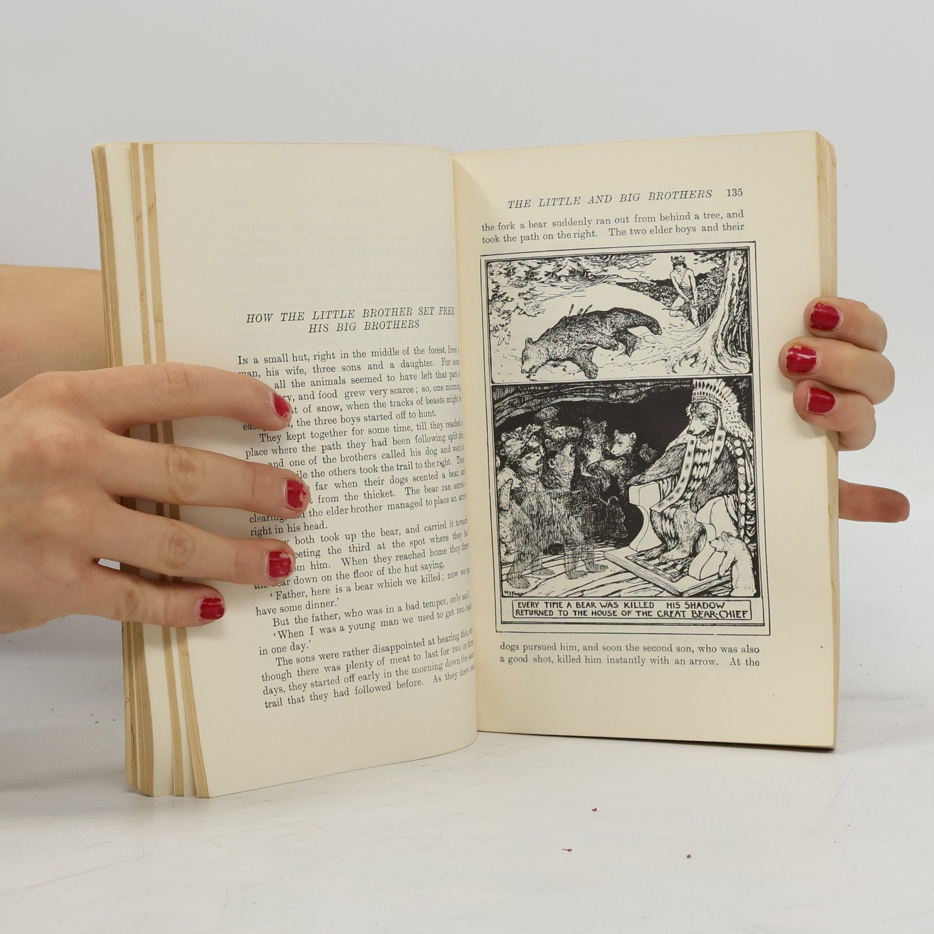 Andrew Lang The Brown Fairy Book