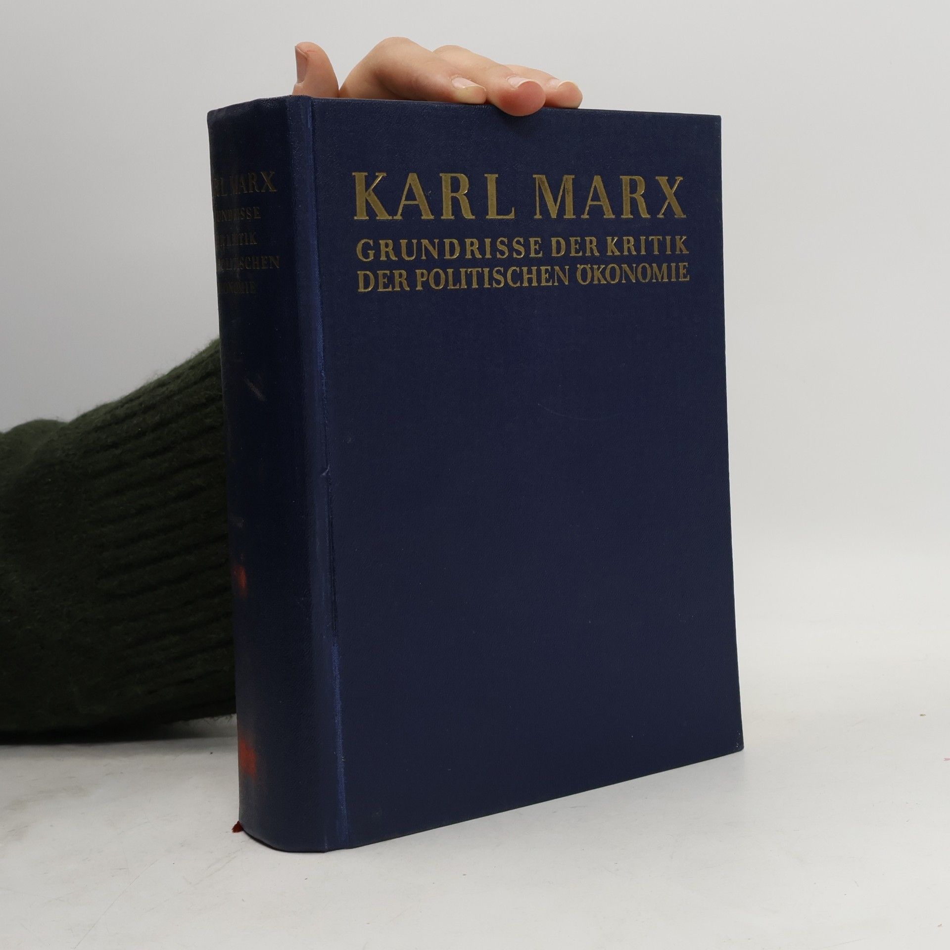 Karl Marx Grundrisse der Kritik der politischen Ökonomie