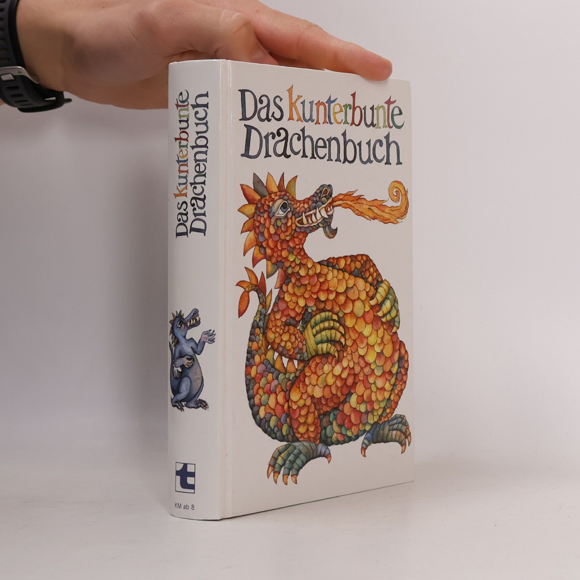 Autorenkollektiv Das kunterbunte Drachenbuch