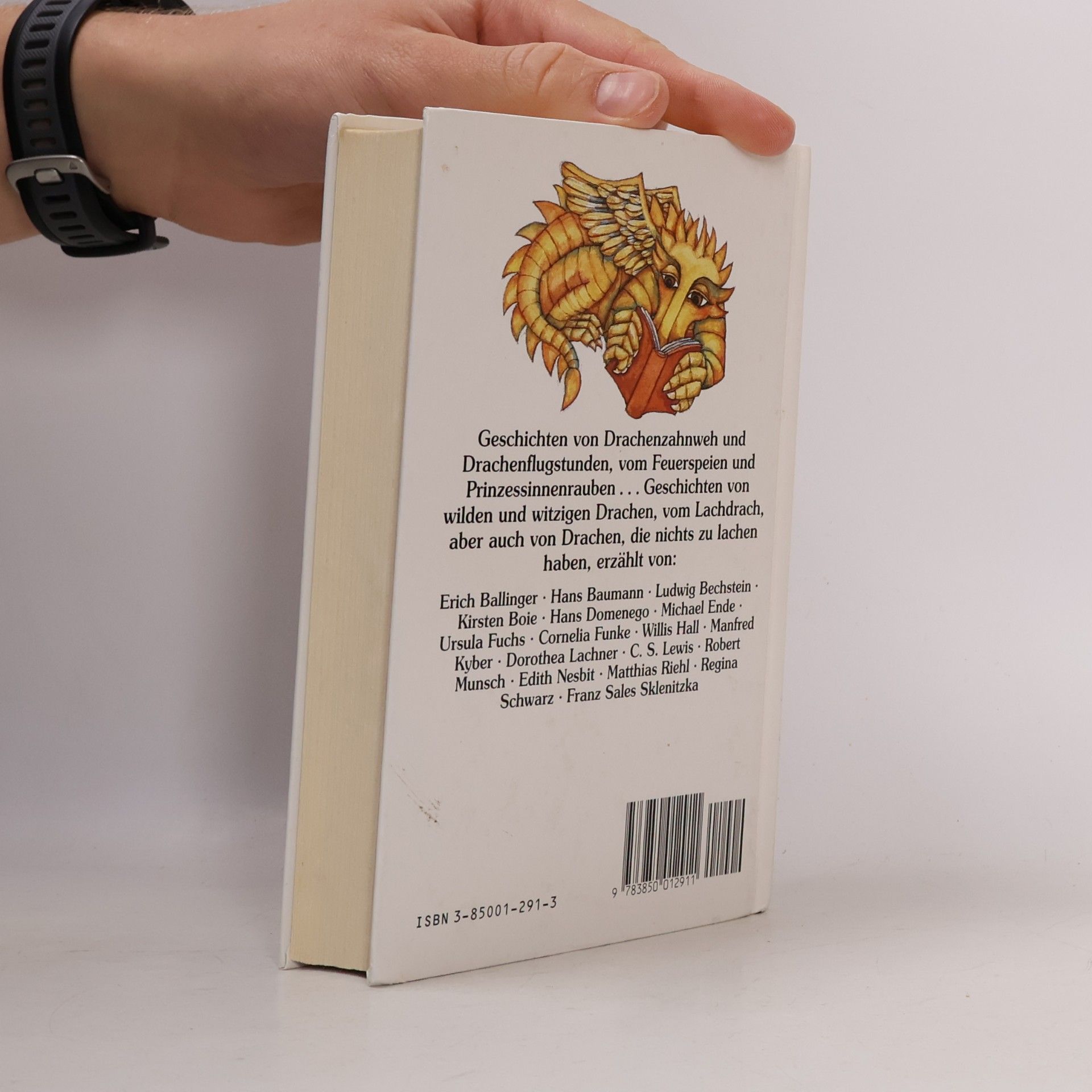 Autorenkollektiv Das kunterbunte Drachenbuch