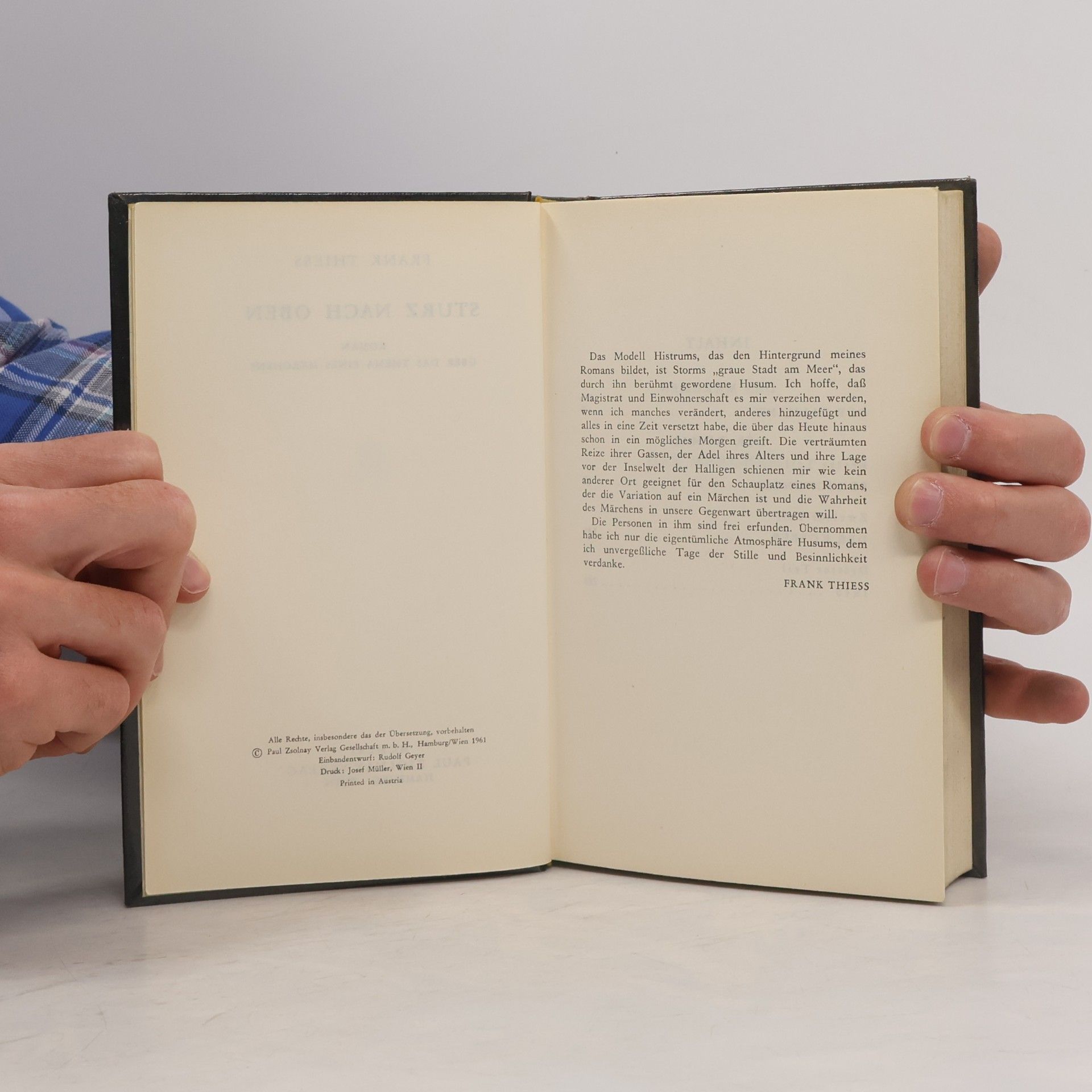 Frank Thiess Sturz nach oben