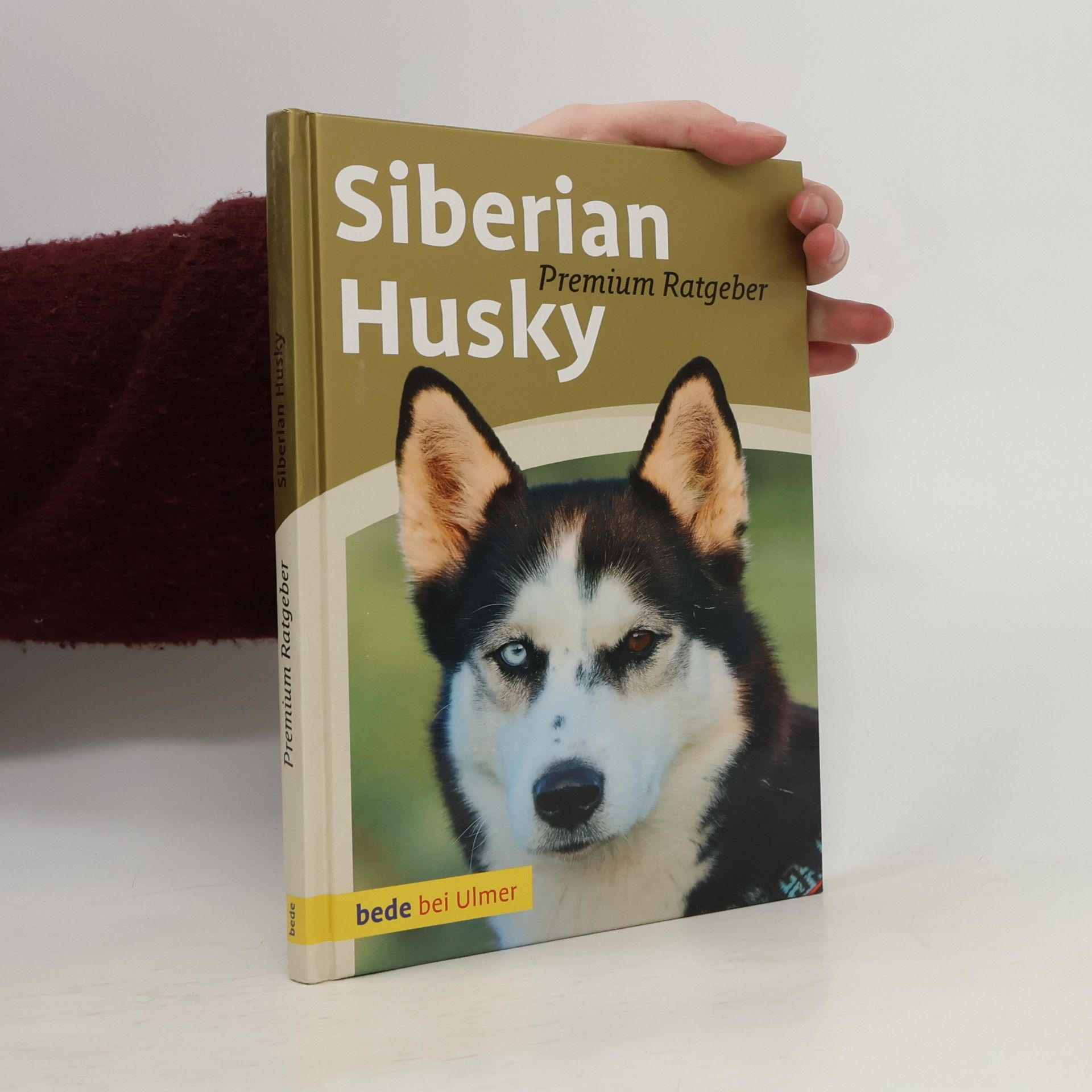 Siberian Husky