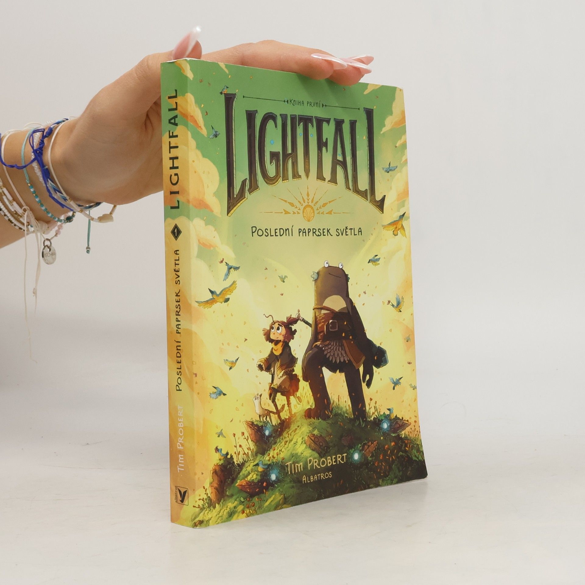 Lightfall: poslední paprsek světla, kniha první