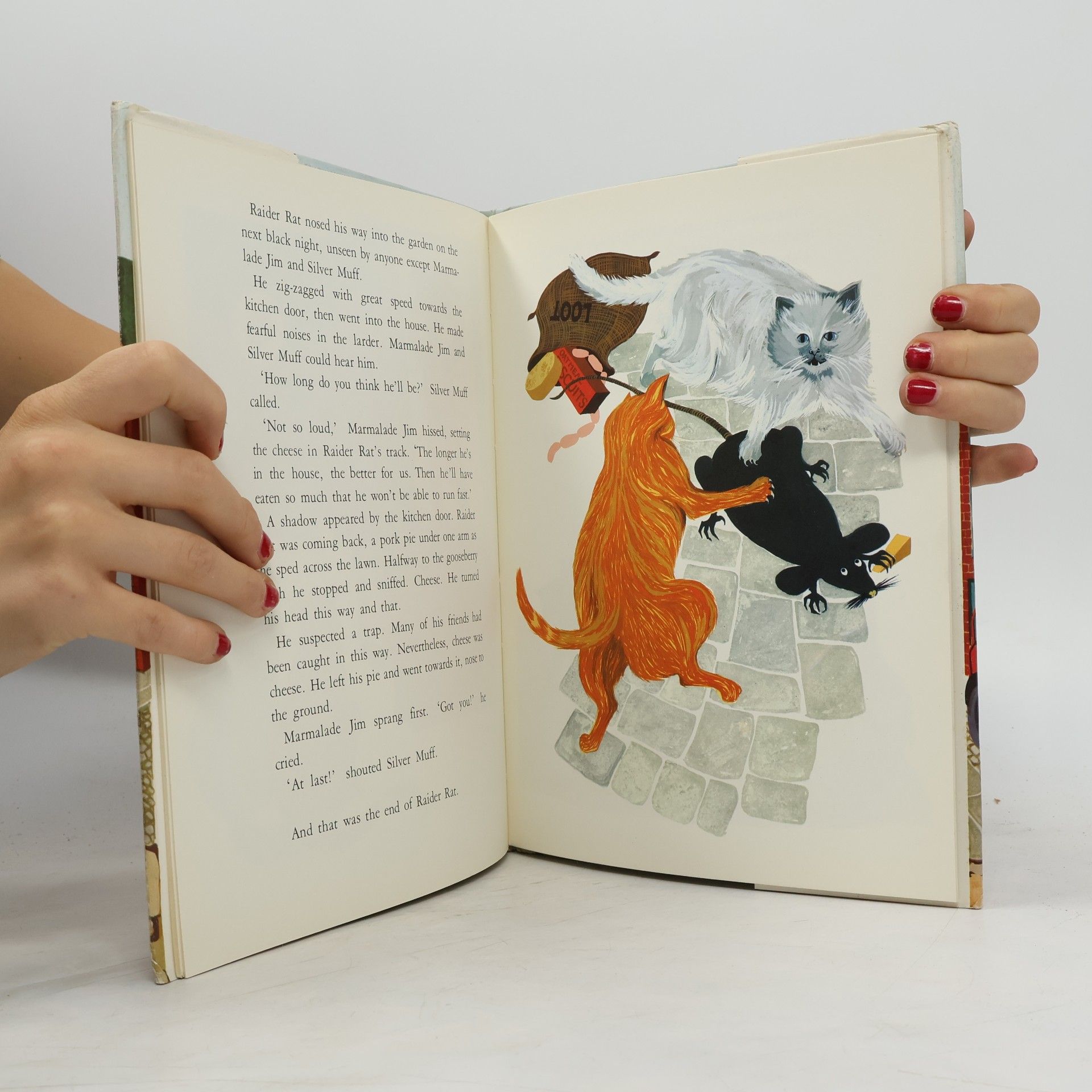 Alan Sillitoe The city adventures of marmalade jim
