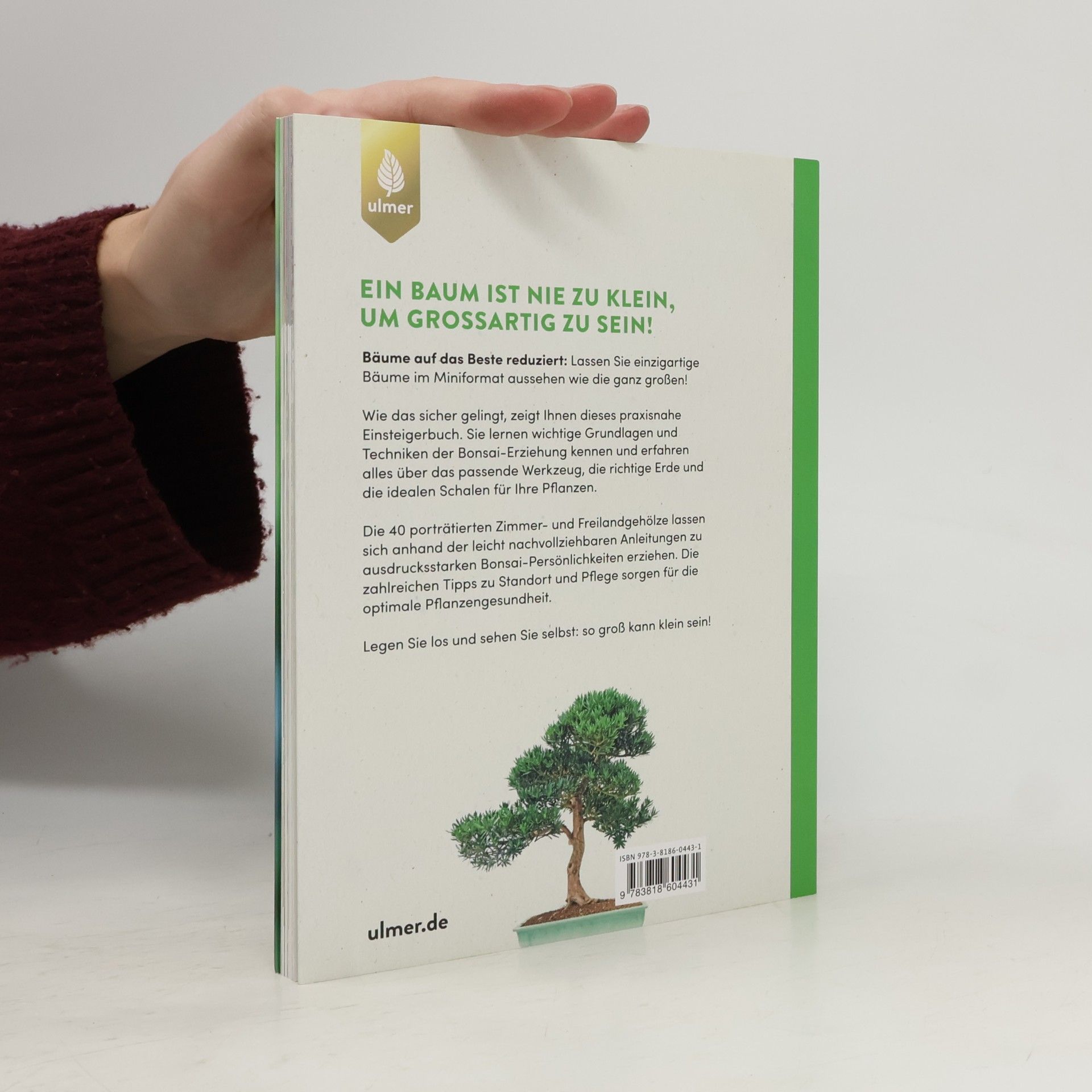 Elodie Marconnet Grundkurs Bonsai