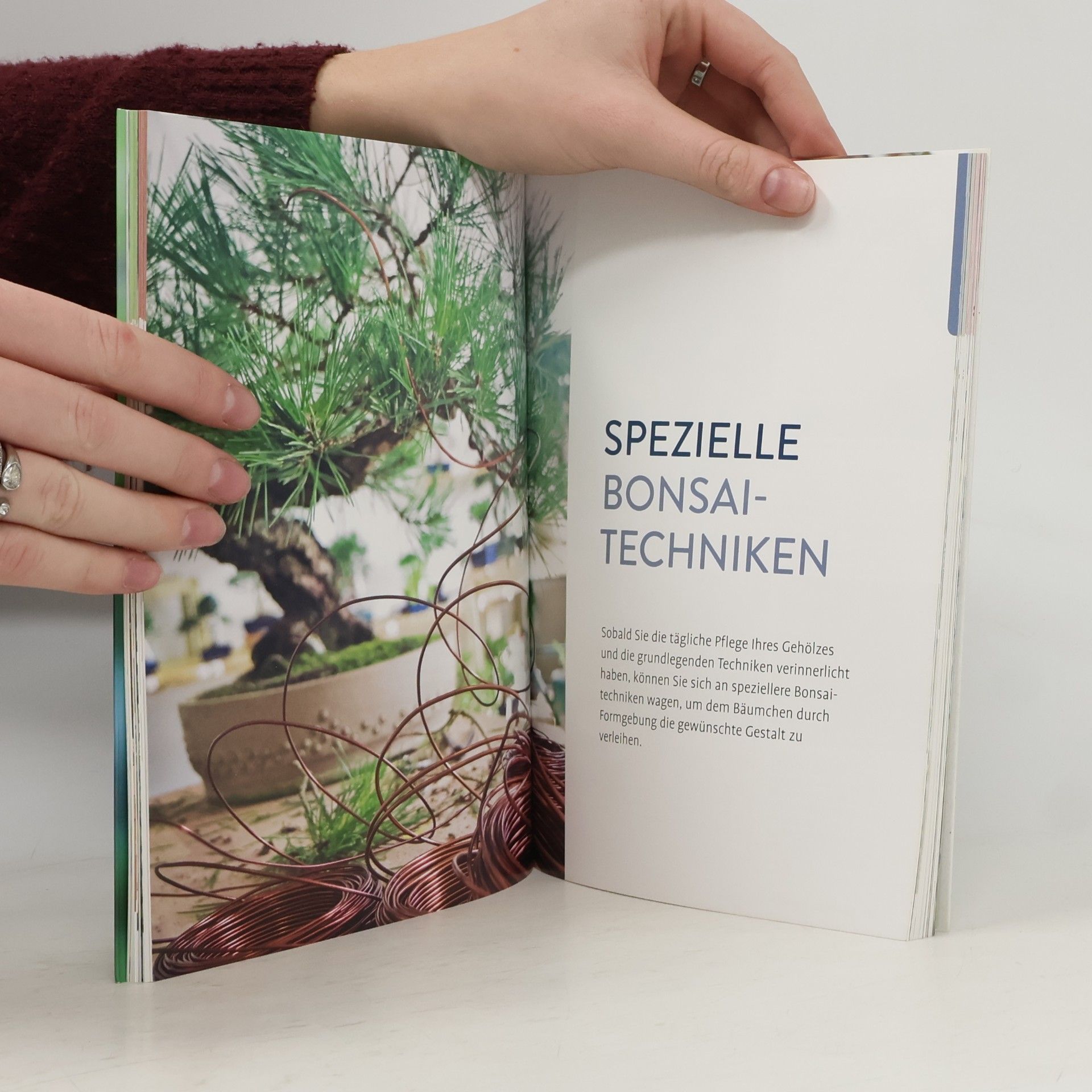 Elodie Marconnet Grundkurs Bonsai