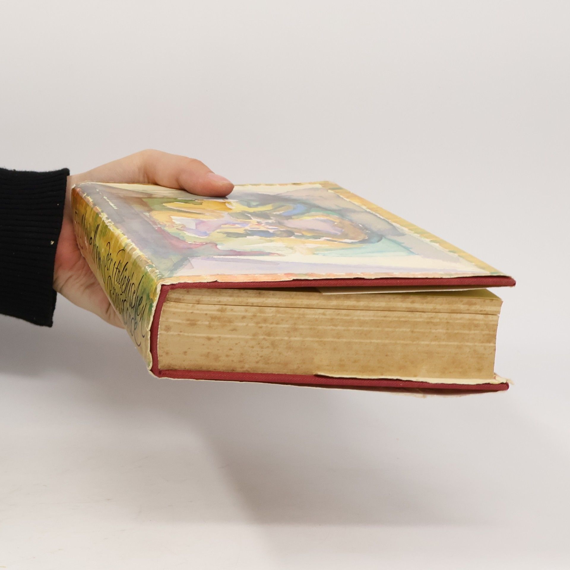 kolektiv 50 Novellen der italienischen Renaissance