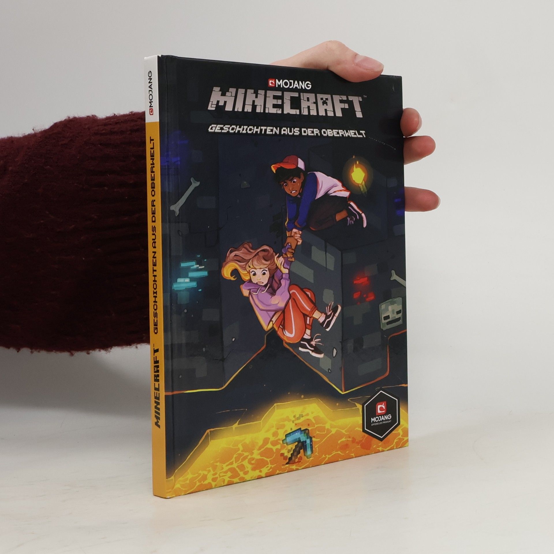 Minecraft, Geschichten aus der Oberwelt