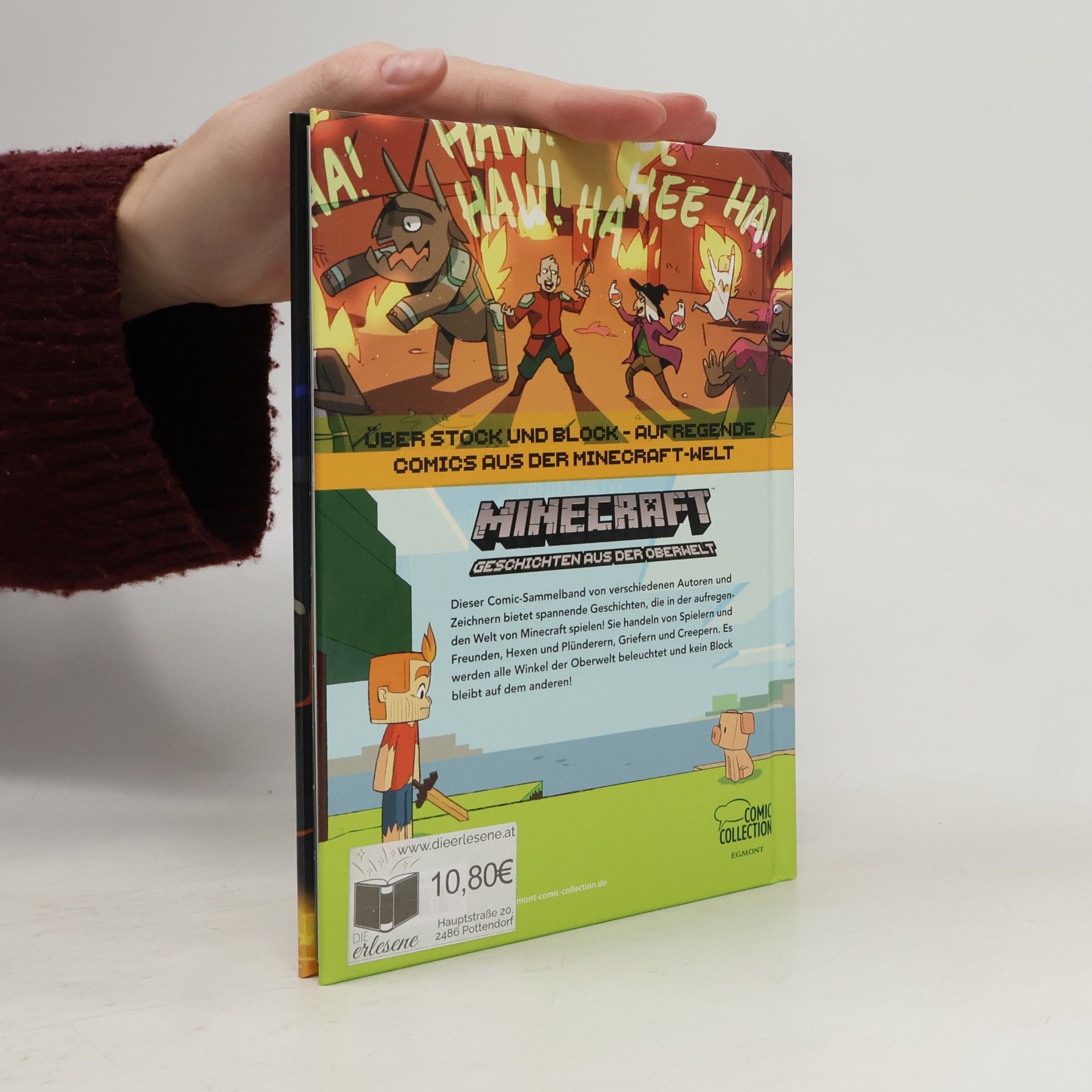 Ryan North Minecraft, Geschichten aus der Oberwelt