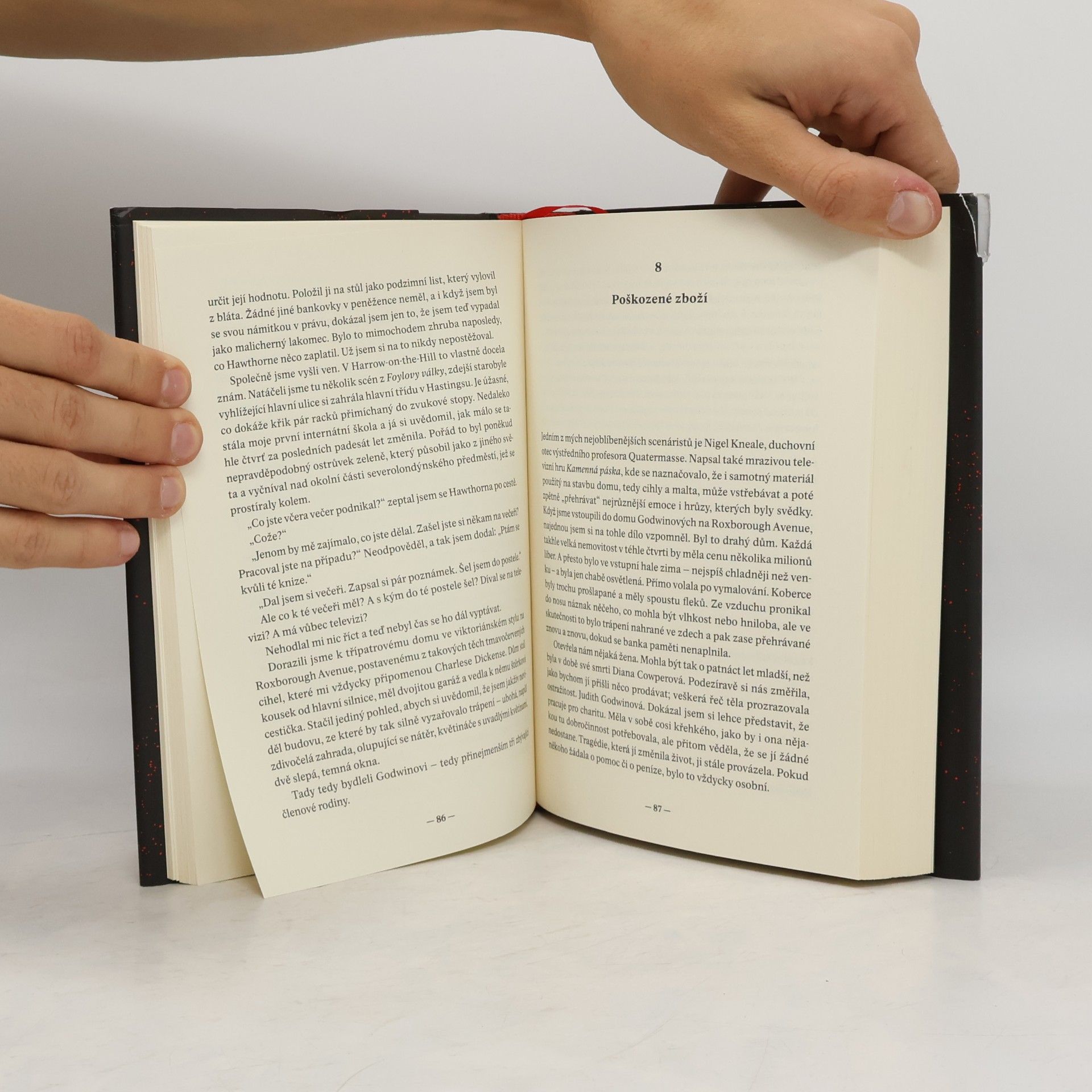 Anthony Horowitz Pohřeb na přání