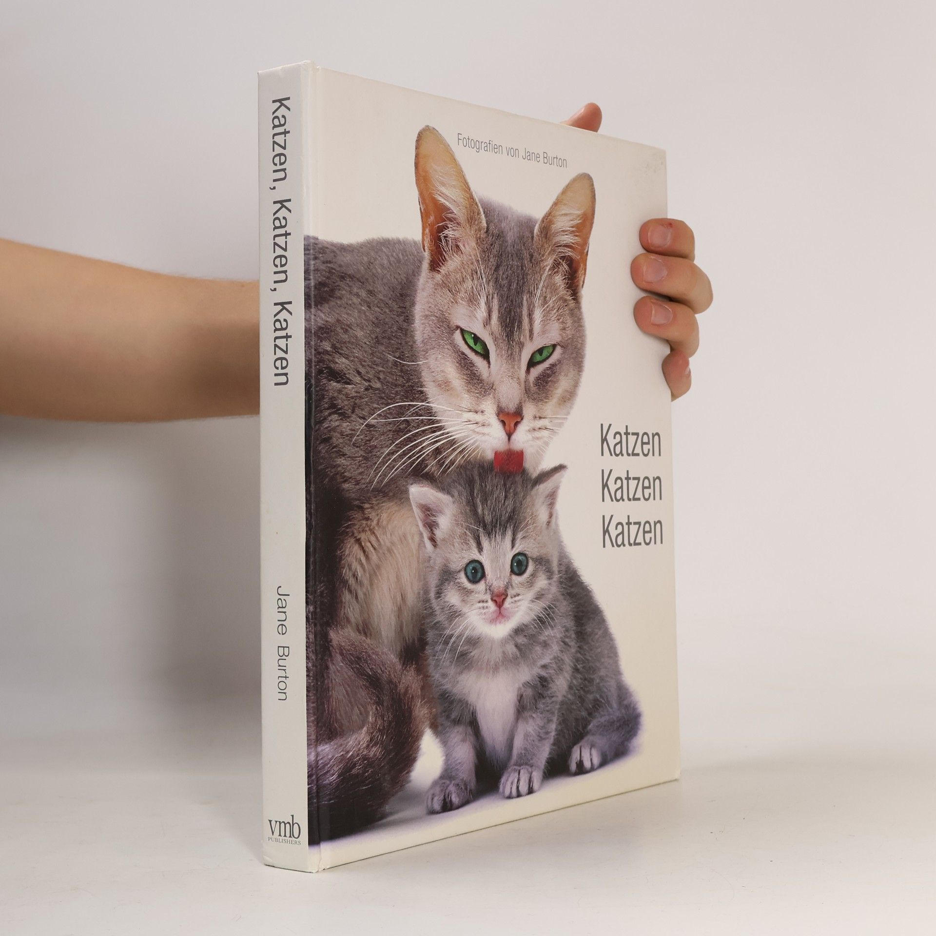 Katzen, katzen, katzen