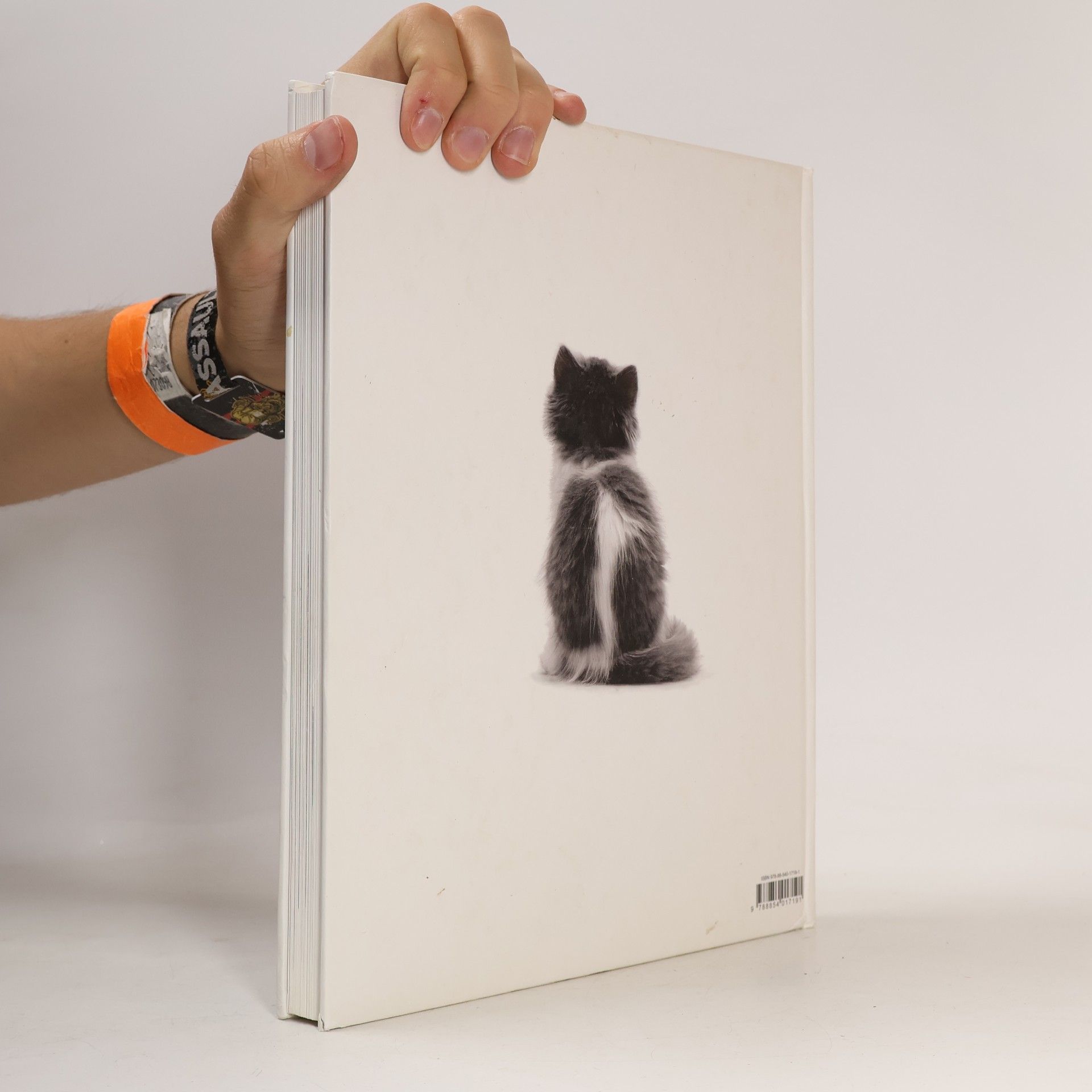 Jane Burton Katzen, katzen, katzen
