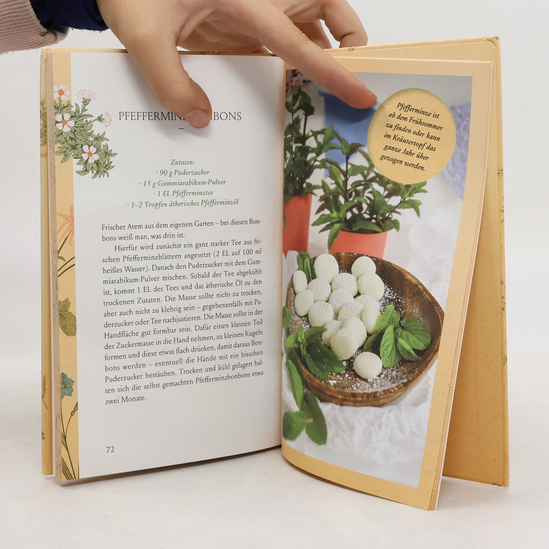 Karina Nouman Fräulein Grüns Geschenke aus der Natur