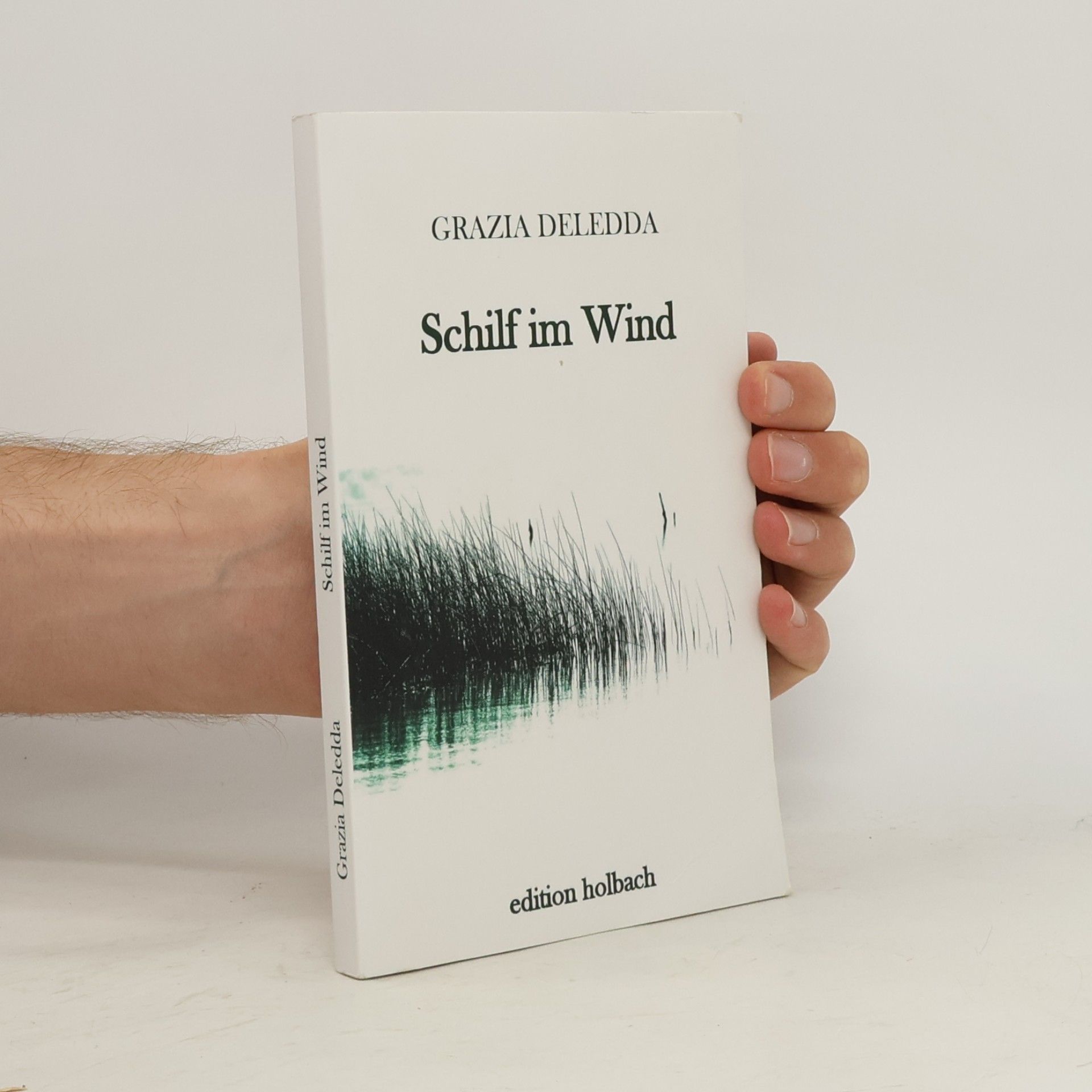 Schilf im Wind. Ein Roman aus Sardinien