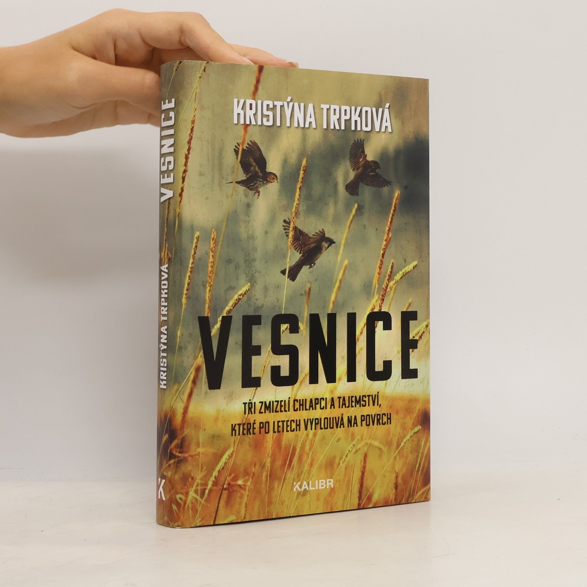 Vesnice