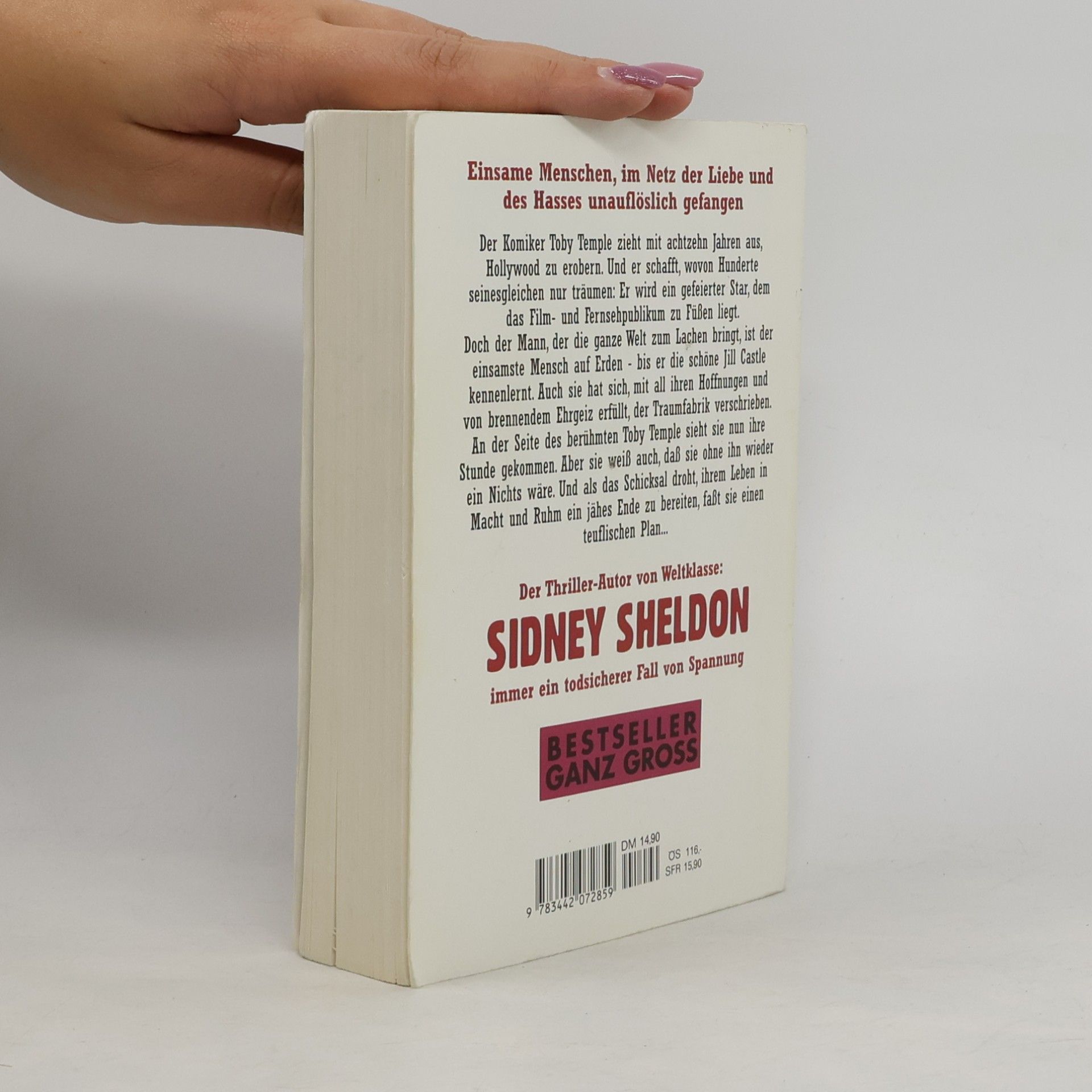 Sheldon, Sidney Ein Fremder im Spiegel: Roman (Goldmann Bestseller ganz gross)
