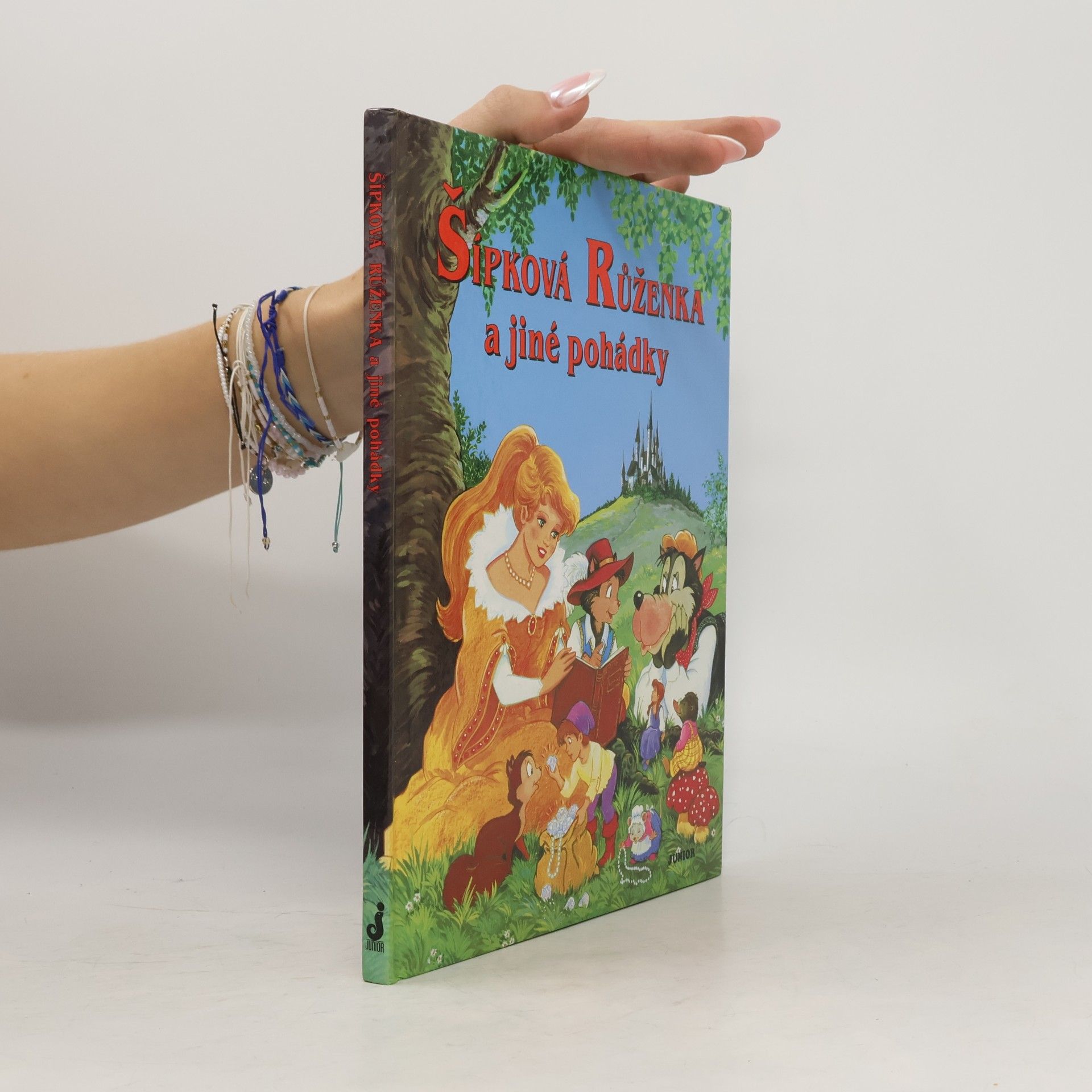 Šípková Růženka a jiné pohádky