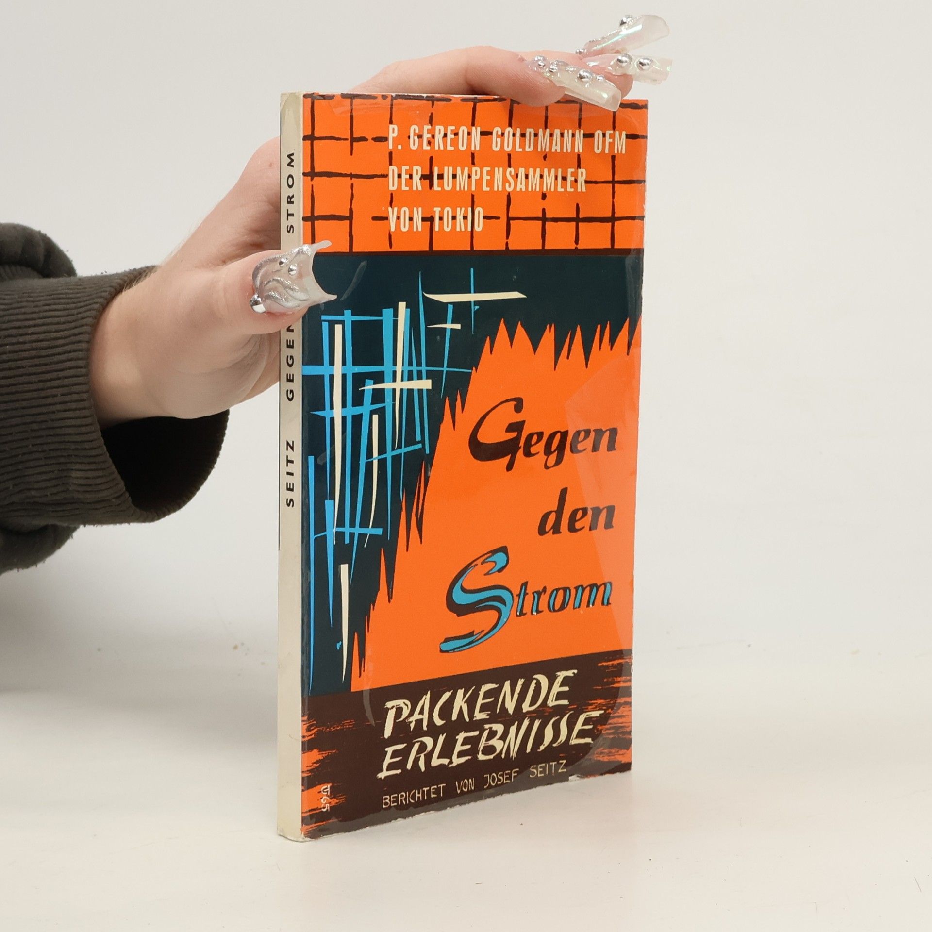 Josef Seitz Gegen den Strom