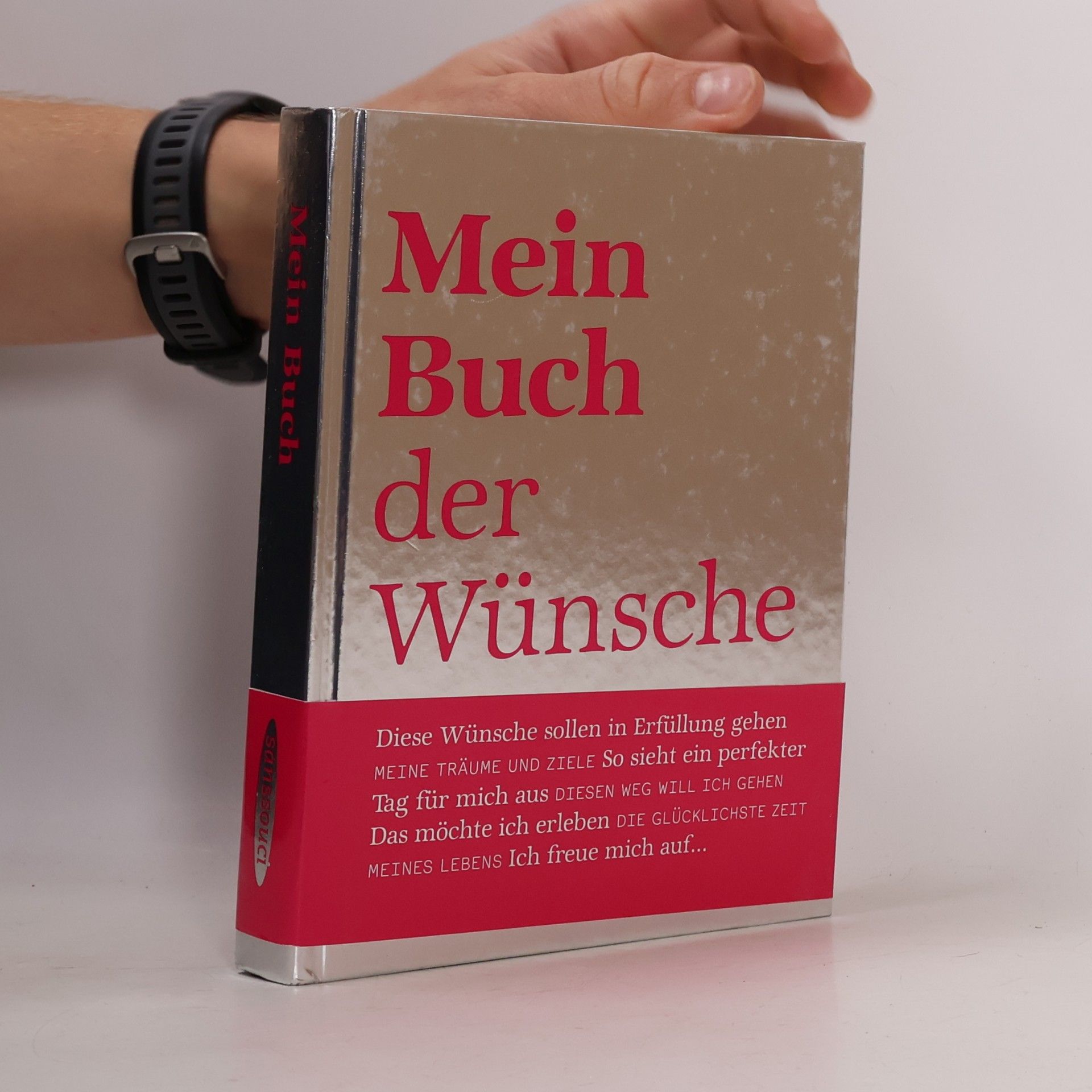 Yvonne Niewerth Mein Buch der Wünsche. Mit Platz für eigene Eintragungen
