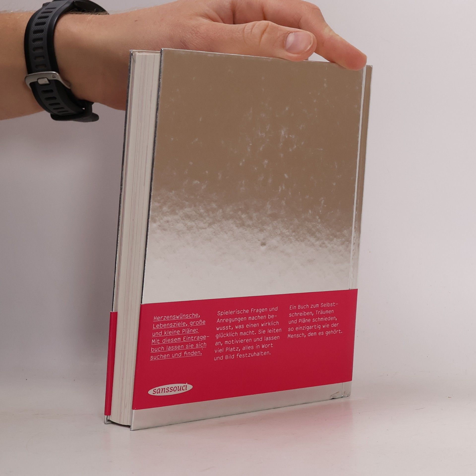 Yvonne Niewerth Mein Buch der Wünsche. Mit Platz für eigene Eintragungen