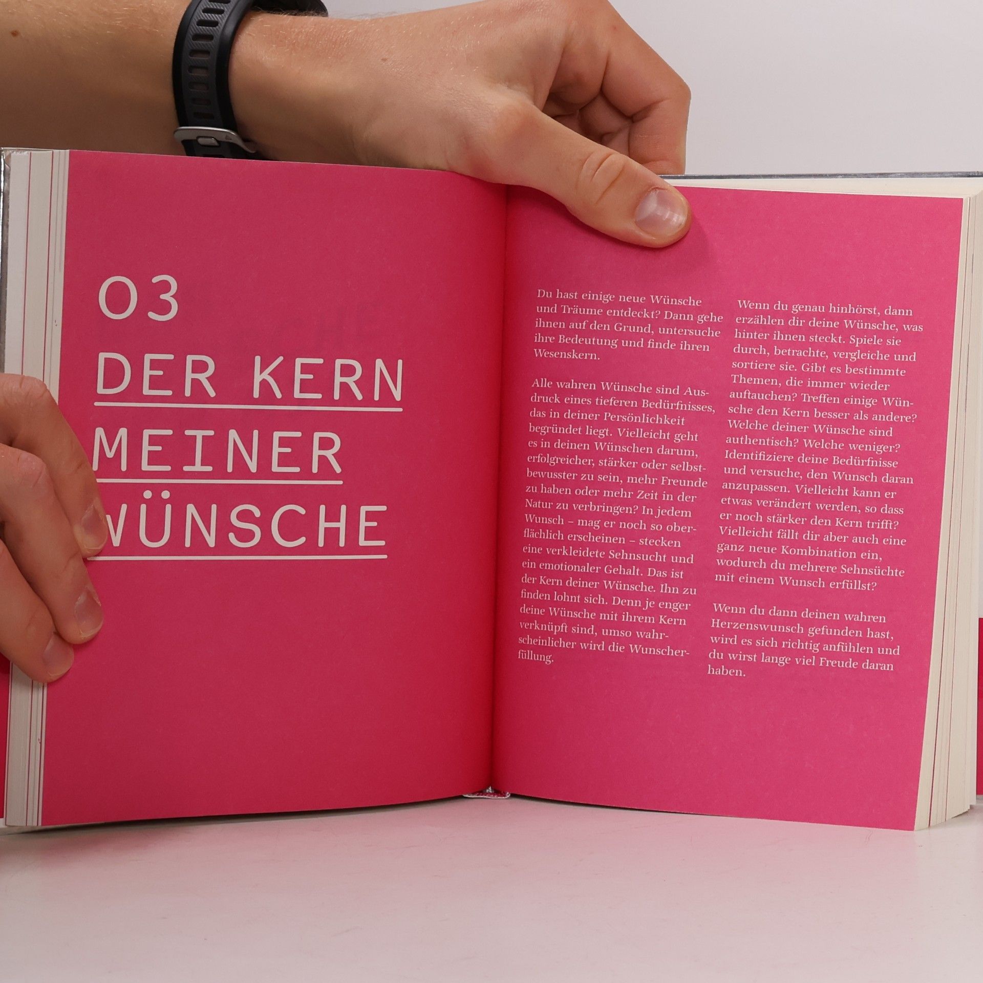 Yvonne Niewerth Mein Buch der Wünsche. Mit Platz für eigene Eintragungen