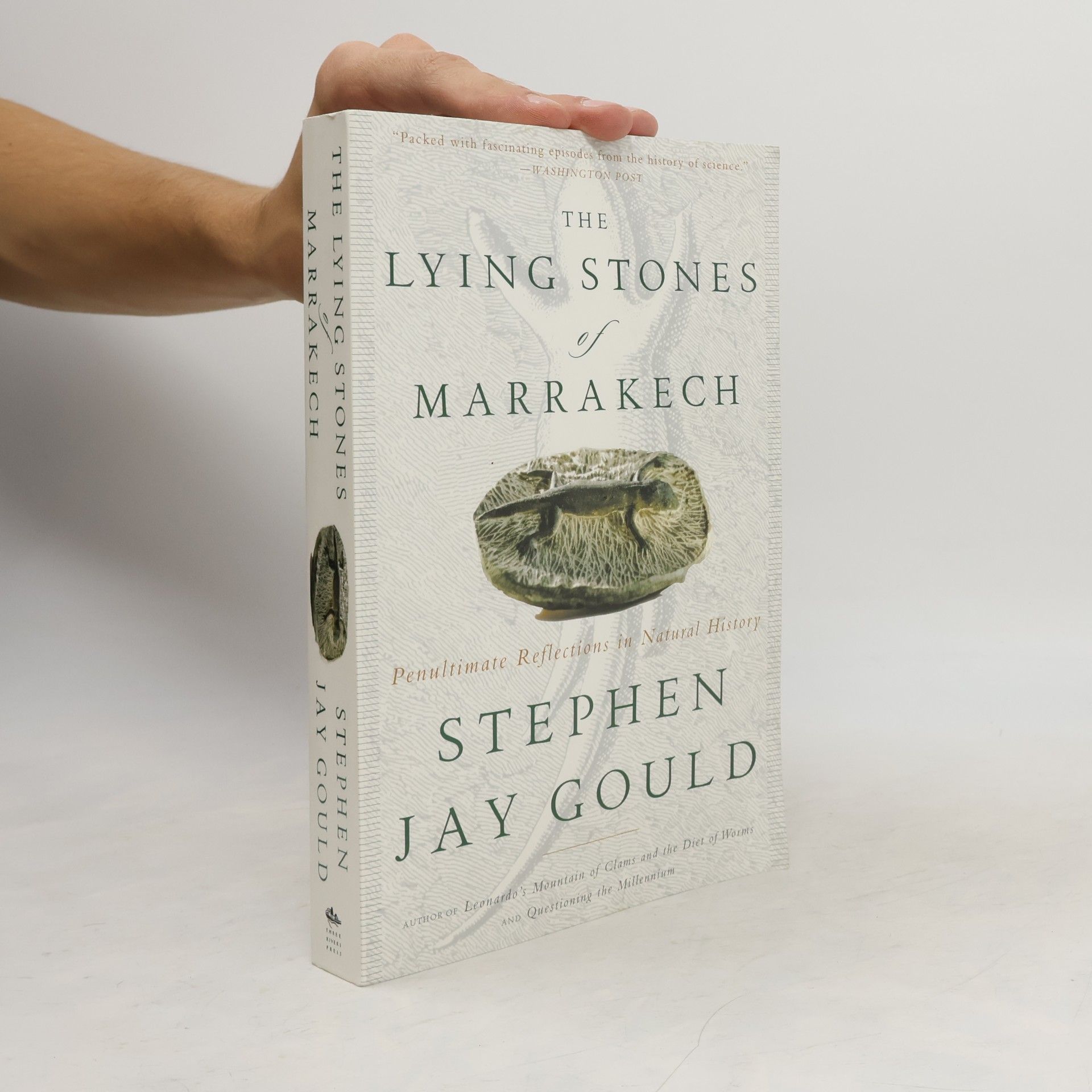 Gould Stephen Jay The Lying Stones of Marrakech