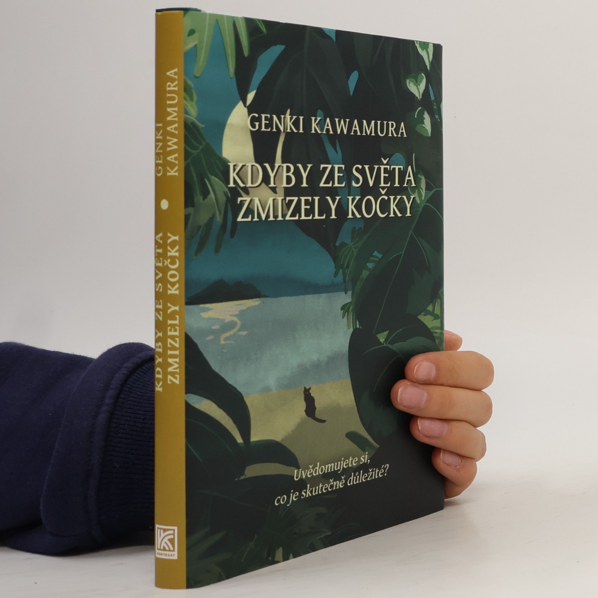 Kdyby ze světa zmizely kočky