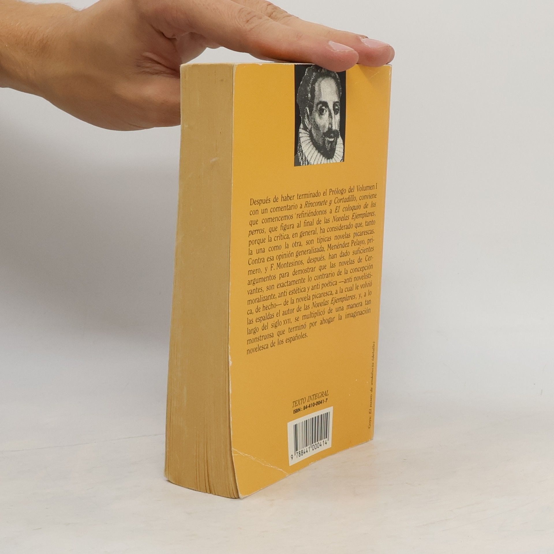 Miguel de Cervantes Novelas Ejemplares II