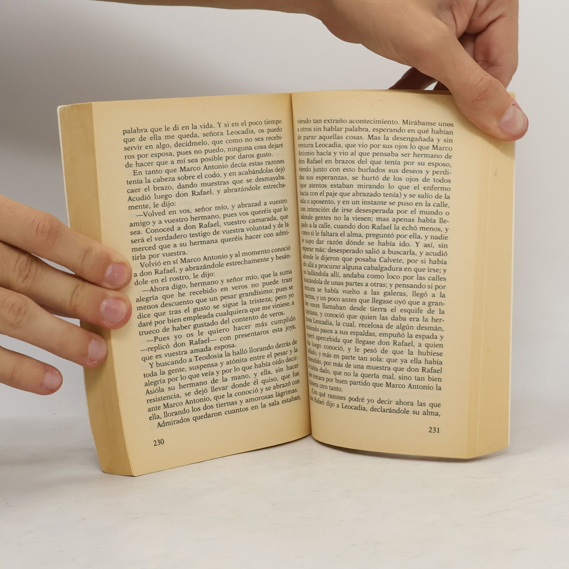 Miguel de Cervantes Novelas Ejemplares II