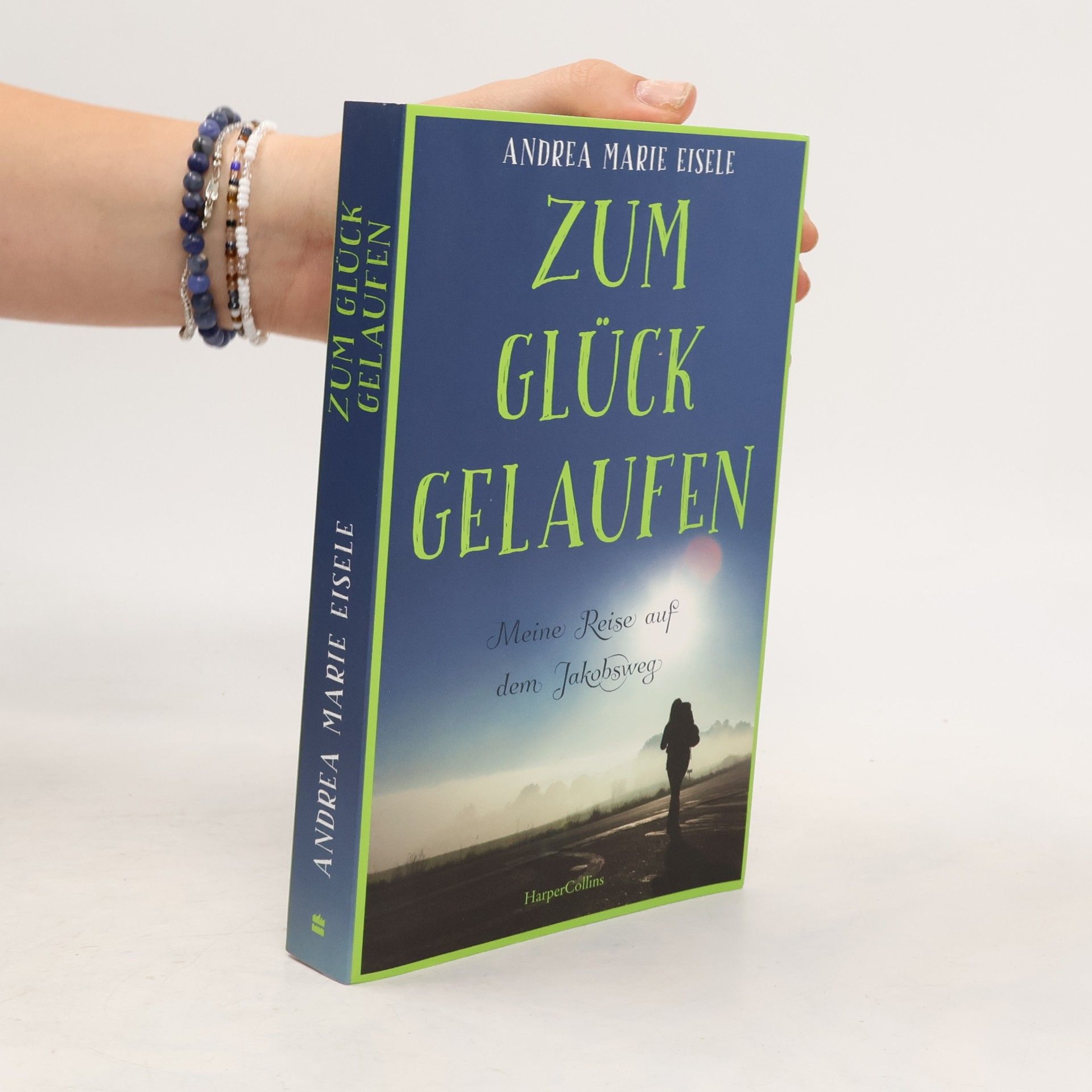 Andrea Marie Eisele Zum Glück gelaufen