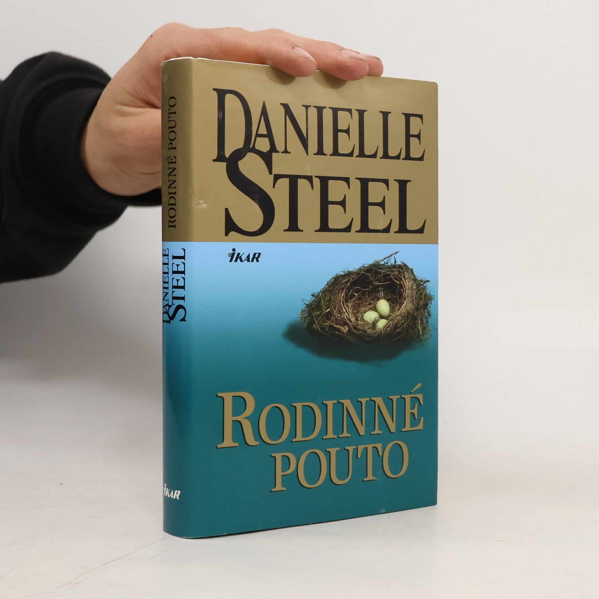Danielle Steel Rodinné pouto