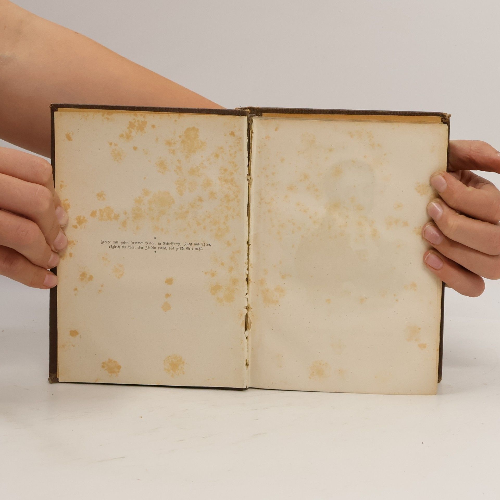 Körber Körber's Schriften