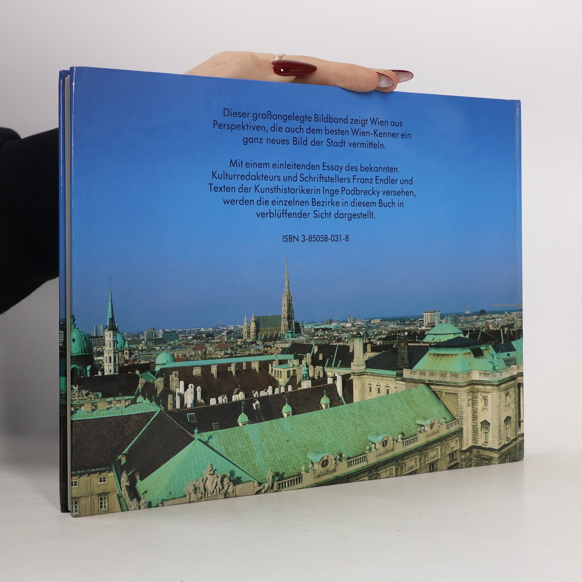 Inge Podbrecky Wien : Perspektiven einer Stadt : Panoramen, Luftaufnahmnen, Detailansichten