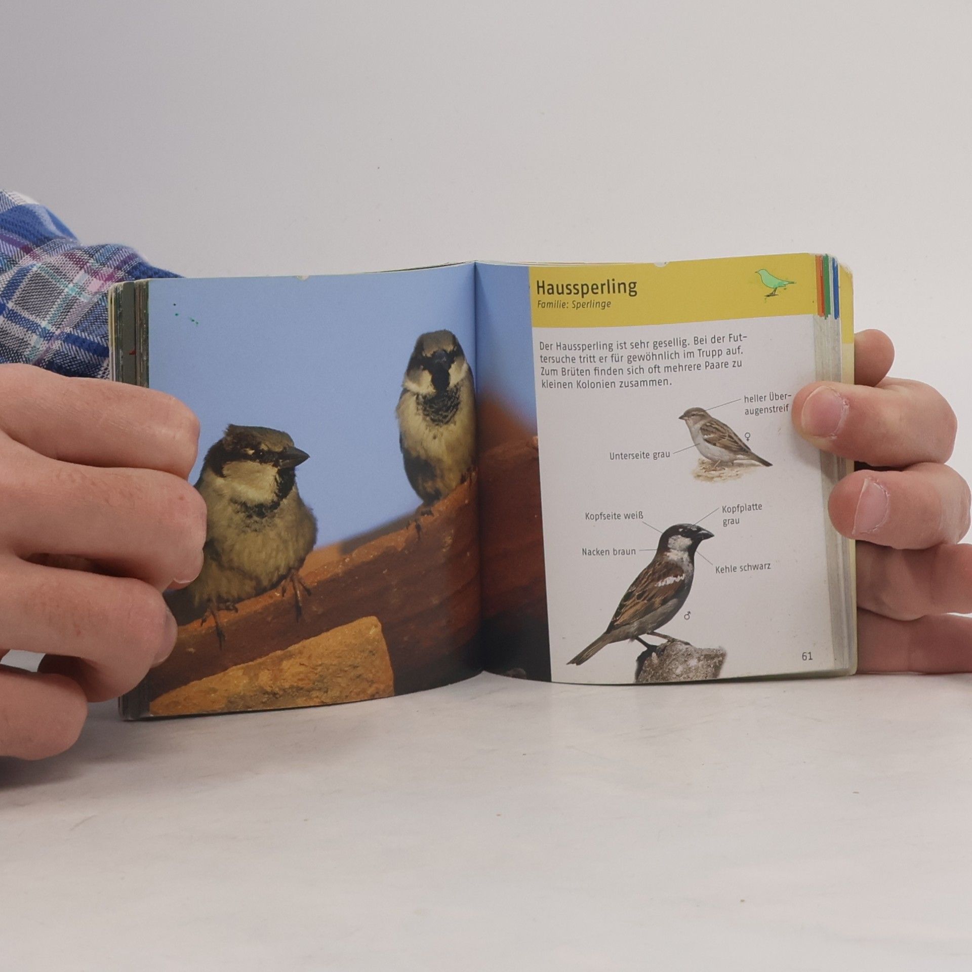 Volker Dierschke Unsere Vögel
