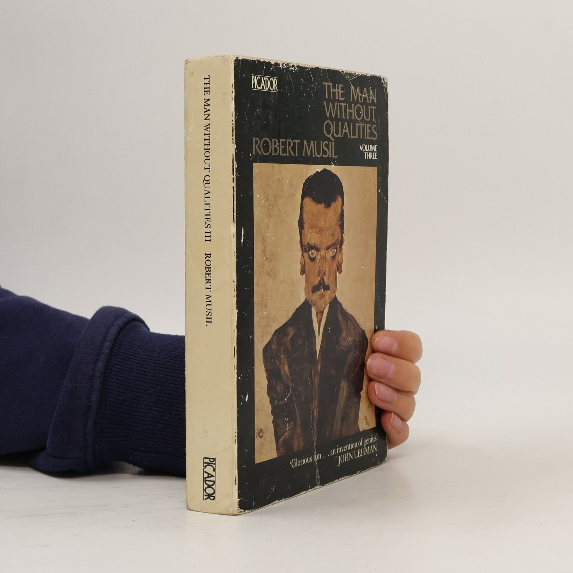 Robert Musil The Man Without Qualities 3