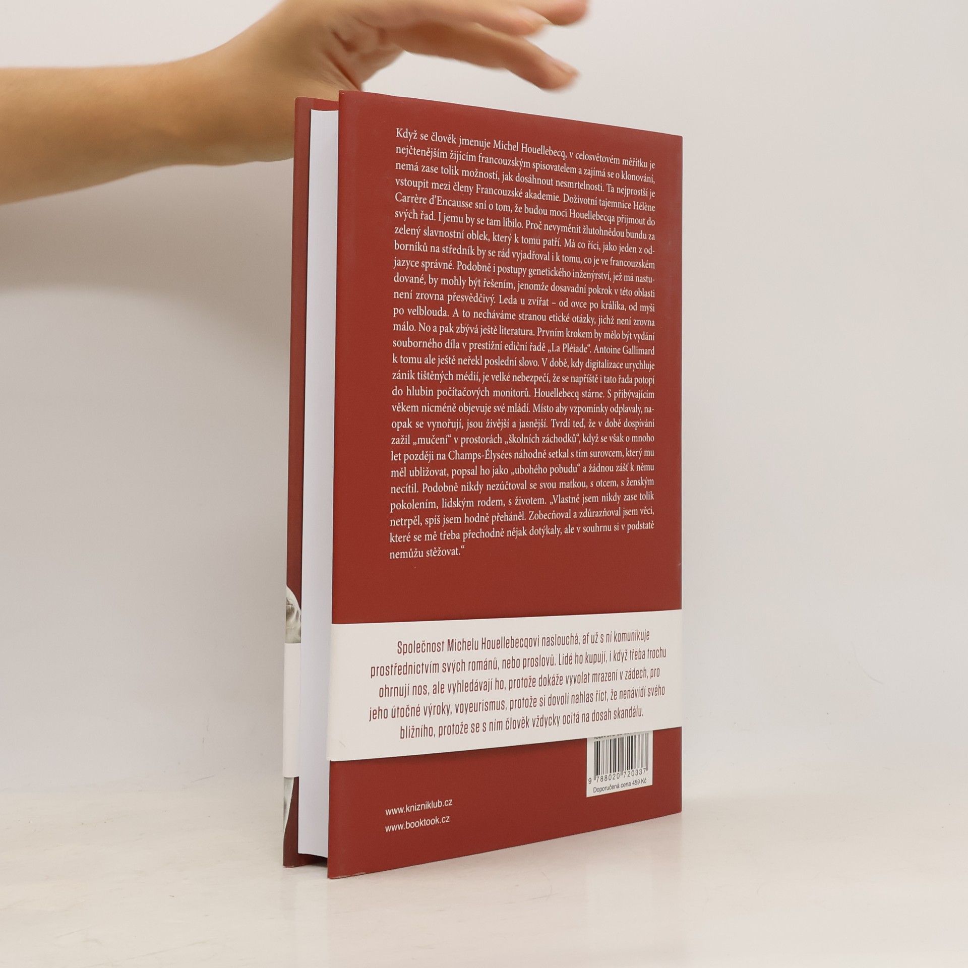 Denis Demonpion Houellebecq