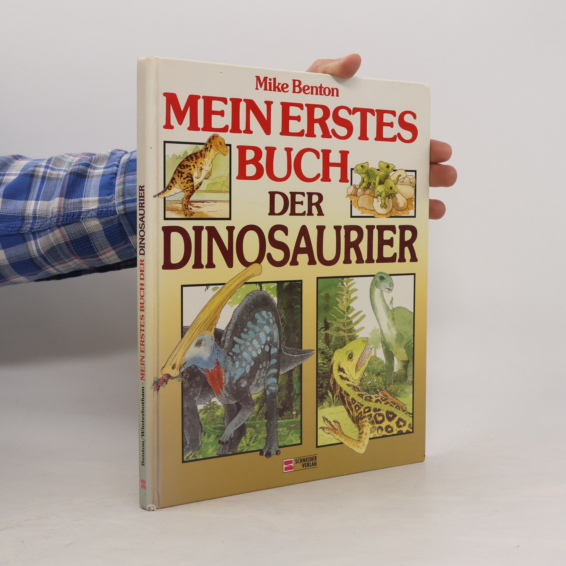 Kolektiv autorů Mein erstes Buch der Dinosaurier