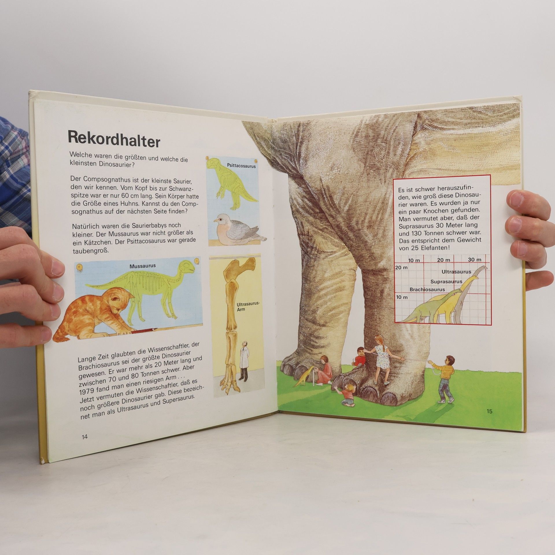 Kolektiv autorů Mein erstes Buch der Dinosaurier
