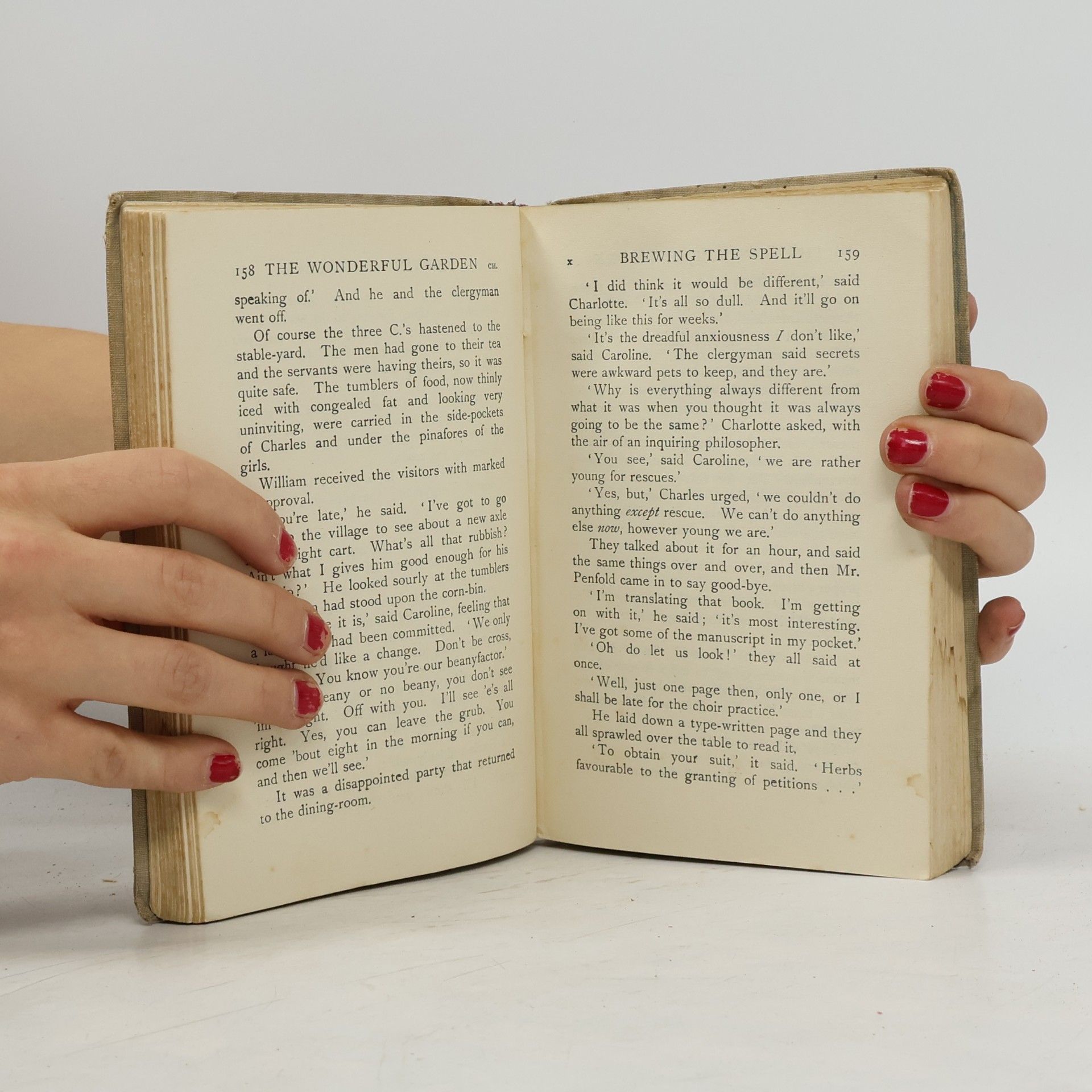 Edith Nesbitt The Wonderful Garden