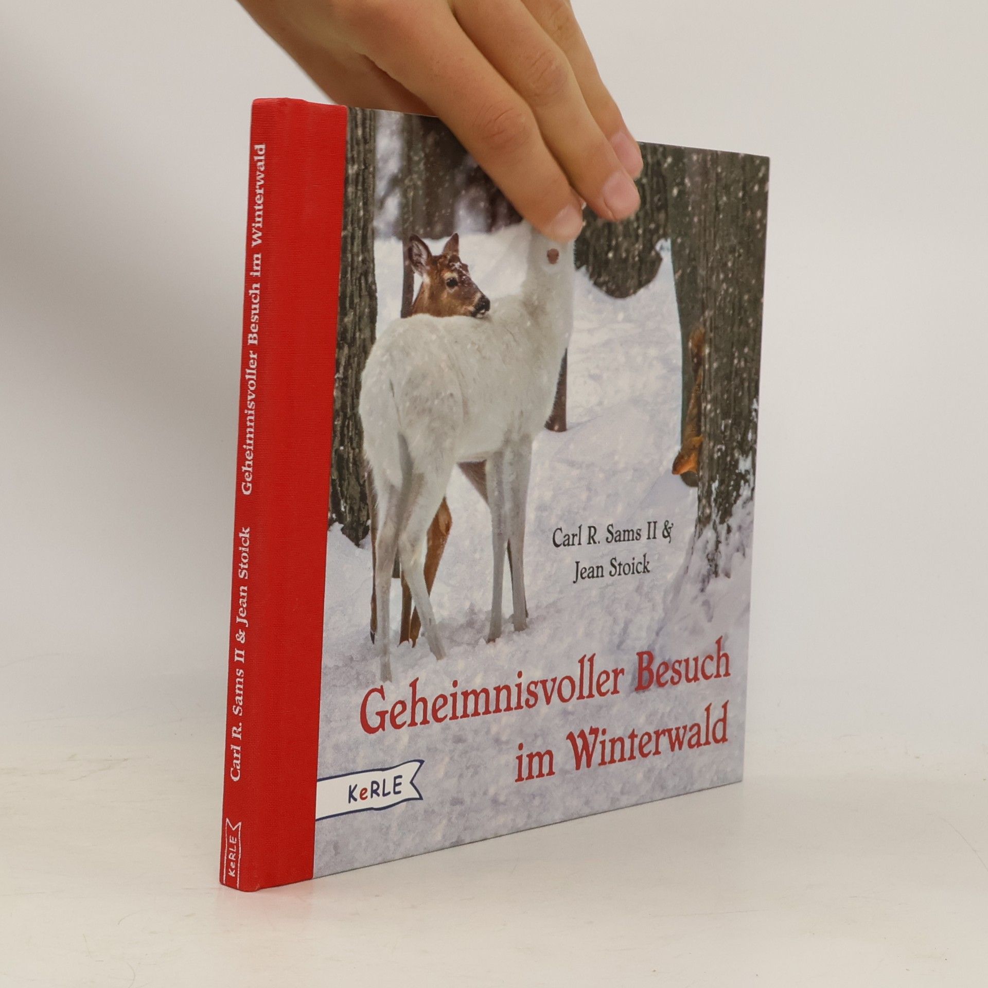 Carl R. Sams Geheimnisvoller Besuch im Winterwald