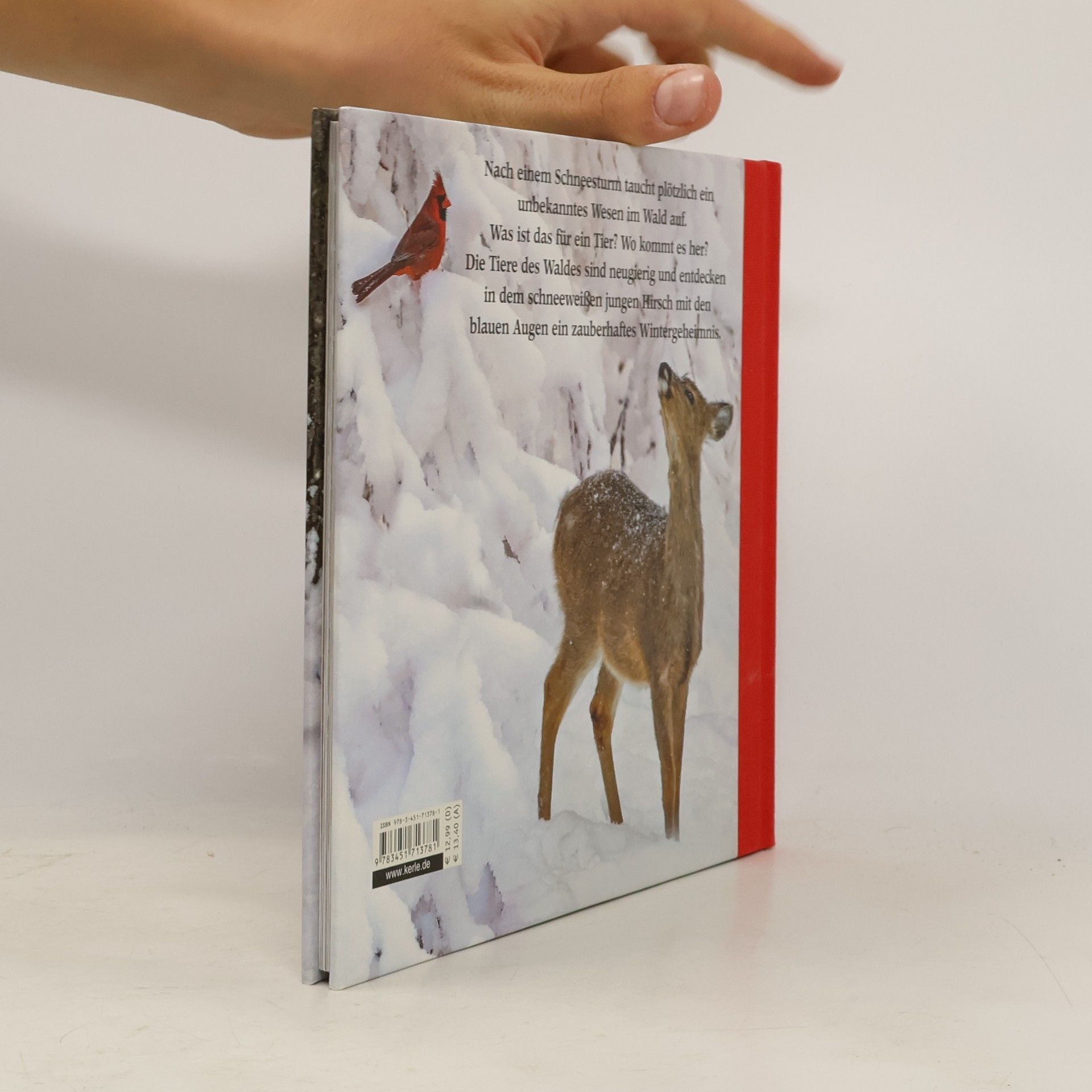 Carl R. Sams Geheimnisvoller Besuch im Winterwald