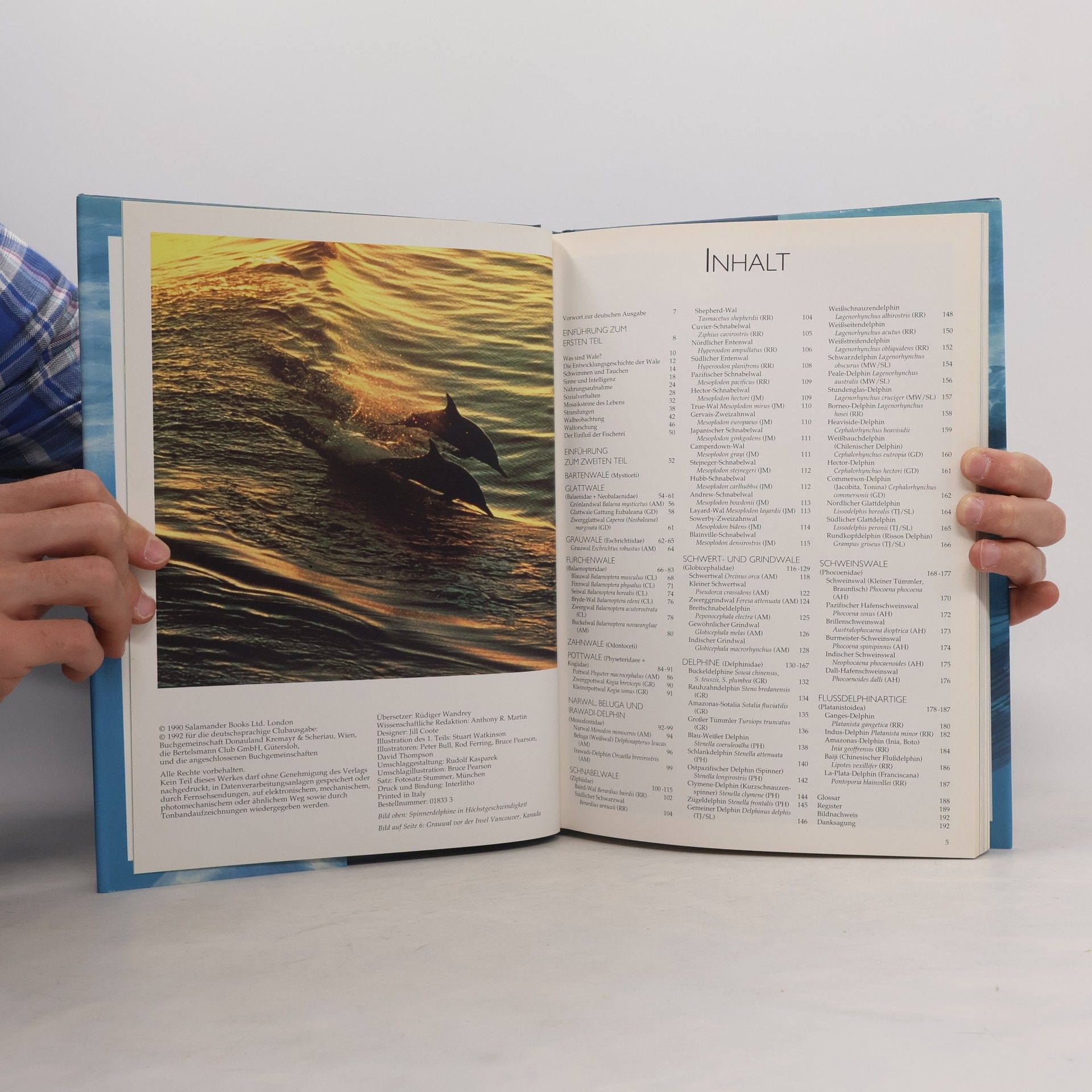 Anthony R. Martin Das grosse Buch der Wale und Delphine