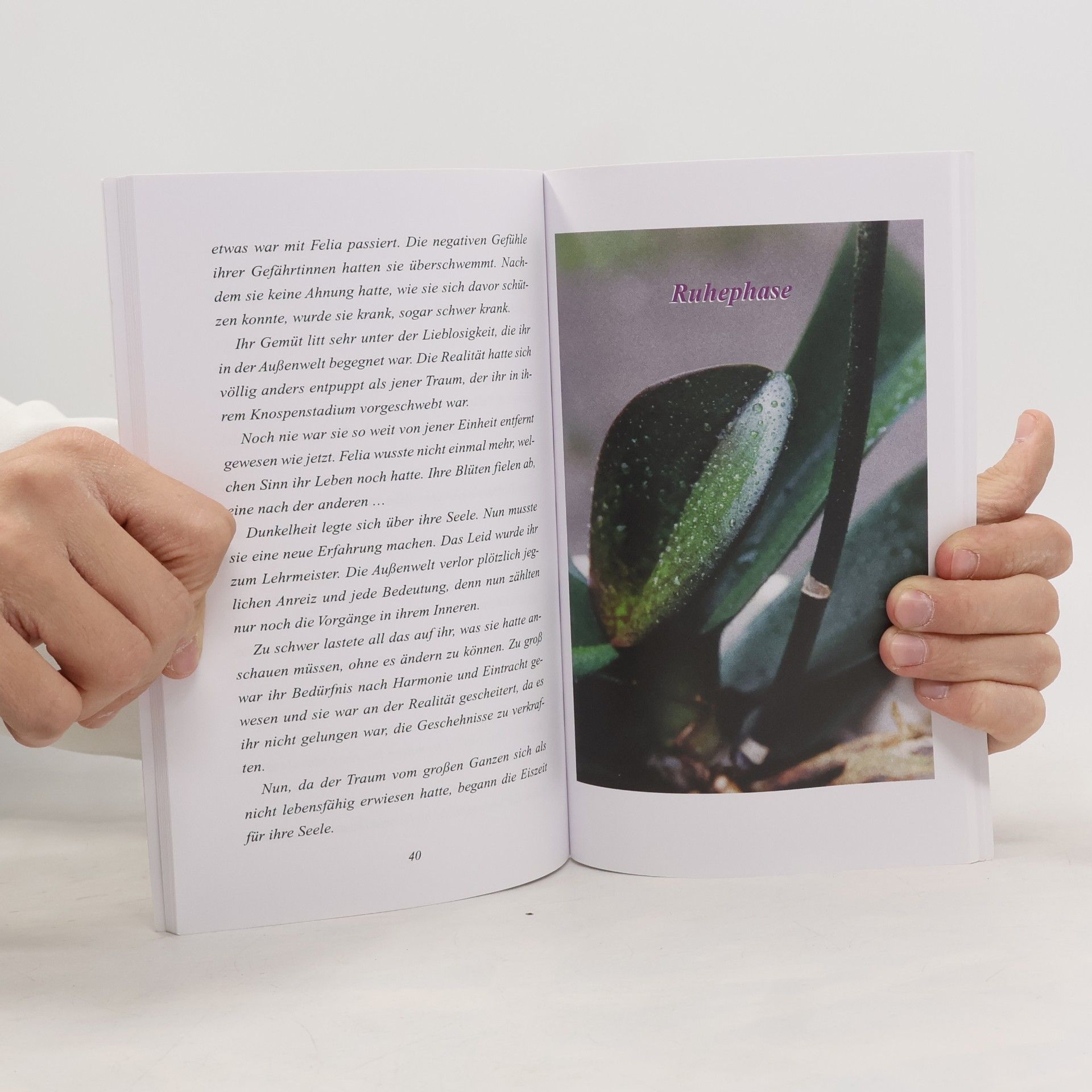 Sera Elisa Der Weg Der Orchidee - Ein Spiegel Der Menschlichen Seele