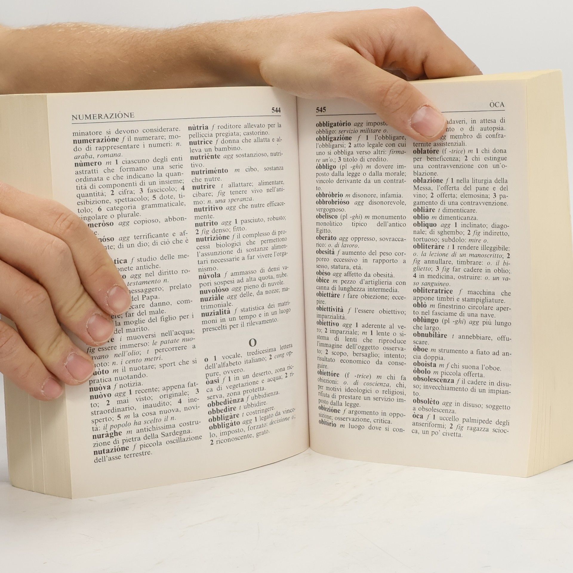 kolektiv Dizionario italiano