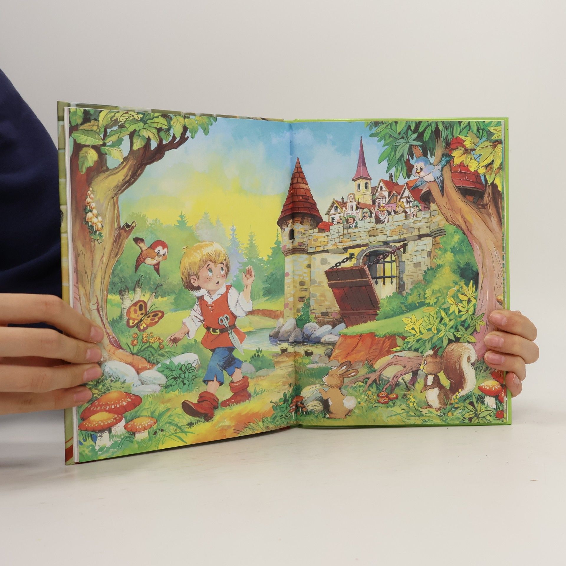 Collectif d'auteurs Stolečku, prostři se a jiné pohádky