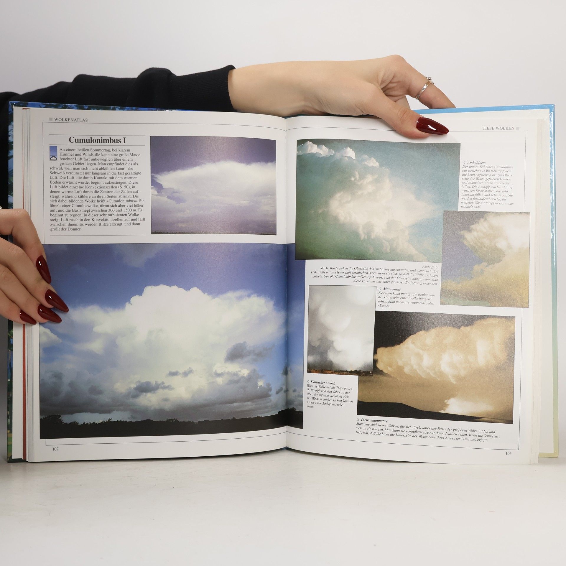 Michael Allaby Klima und Wetter