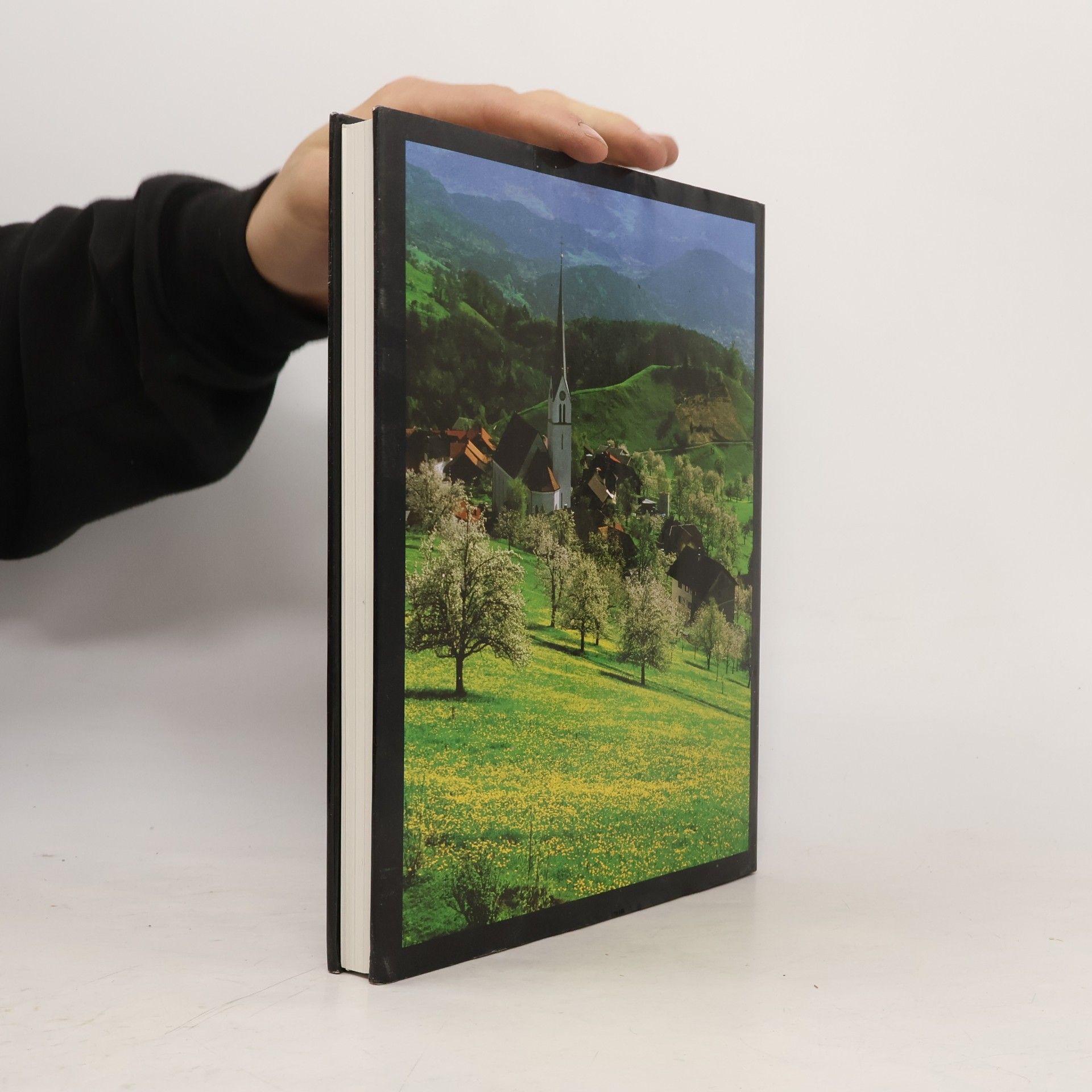 Pia Maria Plechl Österreich : Landschaft, Kunst und Kultur