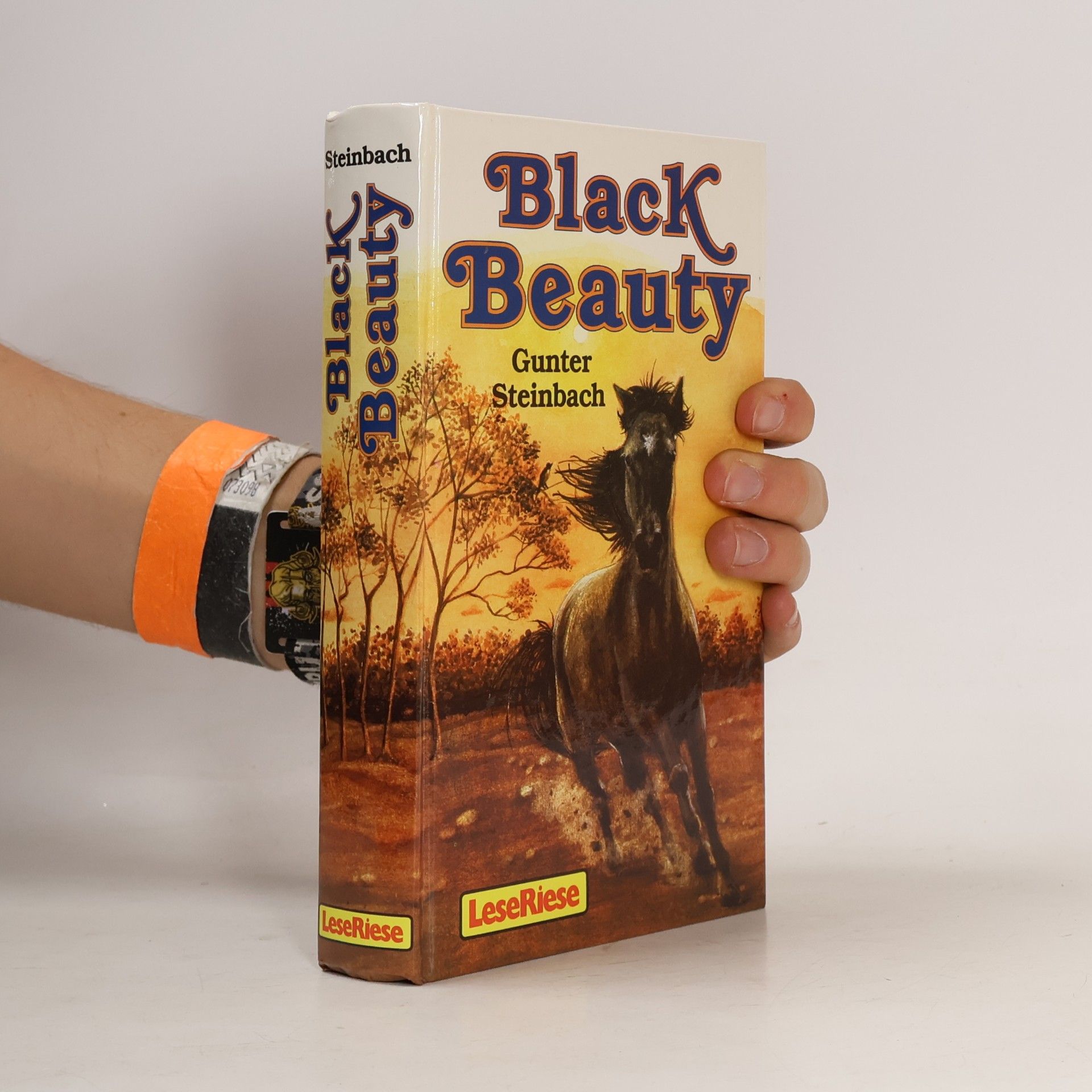 Gunter Steinbach Black Beauty